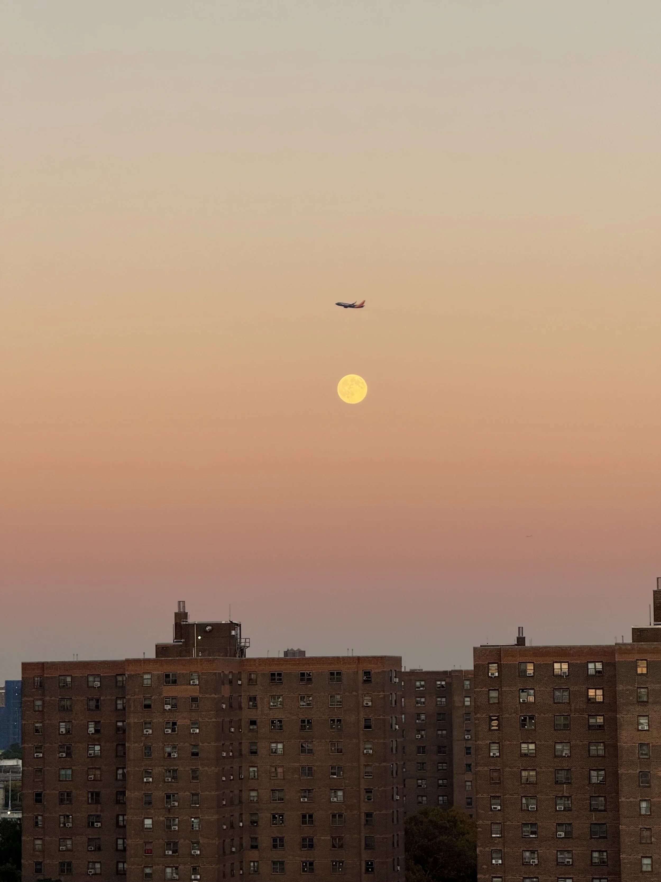 Full Moon in Taurus.jpg