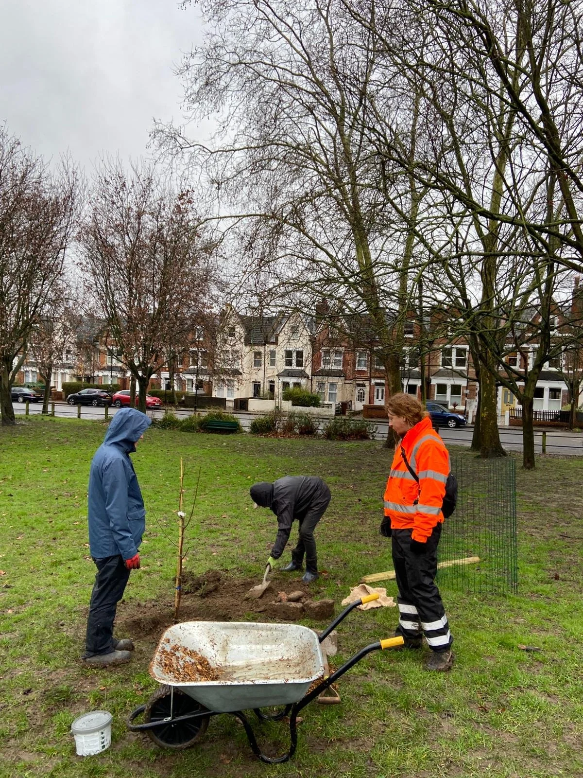 Planting at WPCA2.jpeg