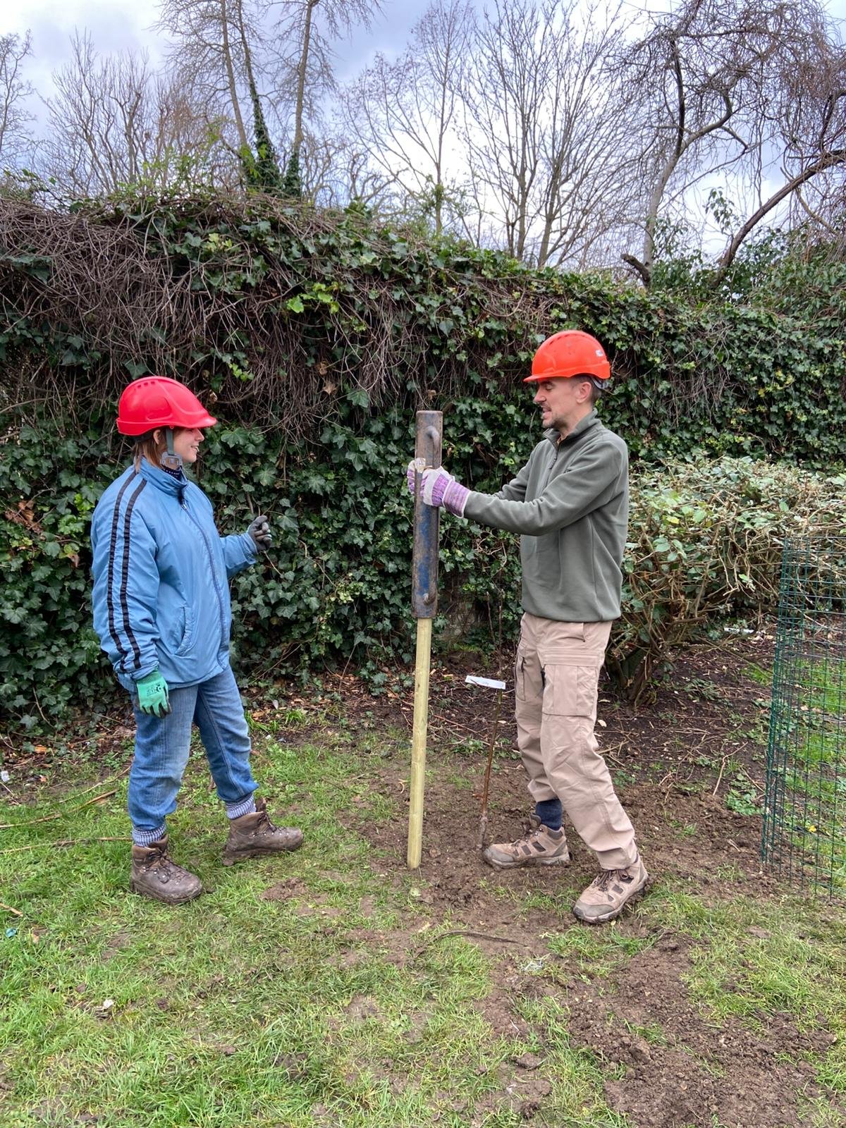 Planting at St Georges.jpeg