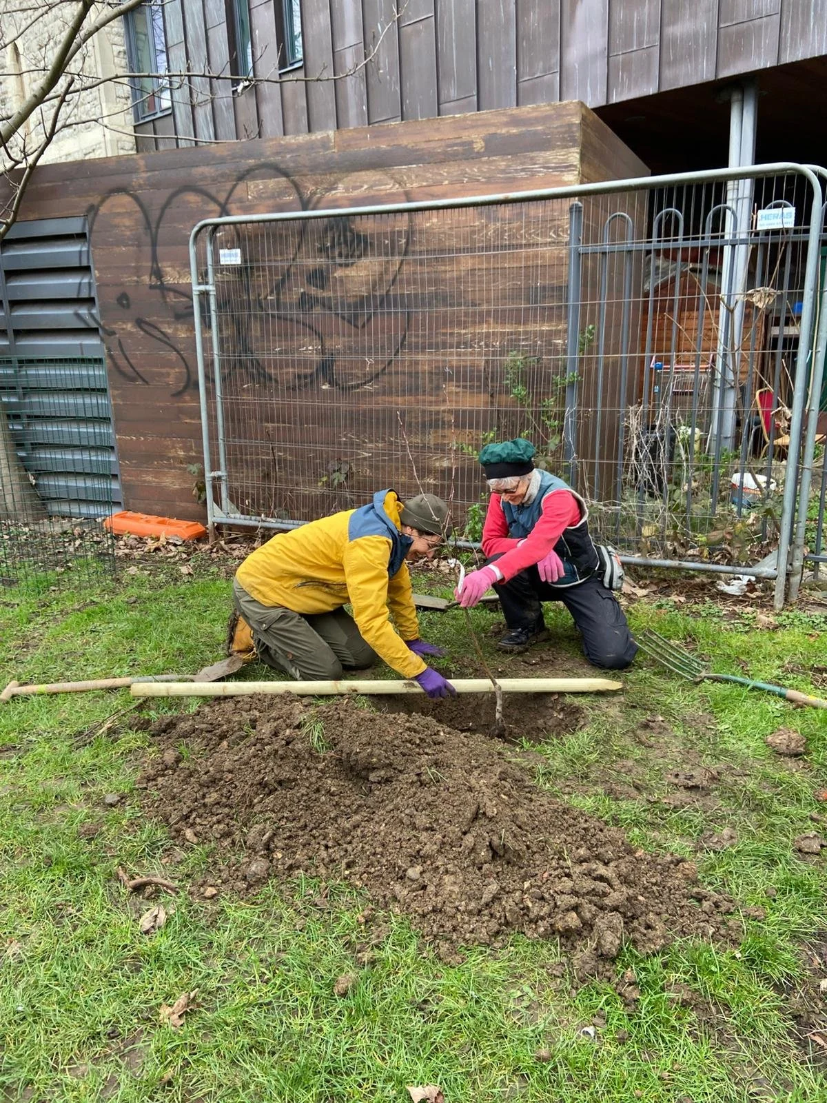 Planting at St Georges2.jpeg