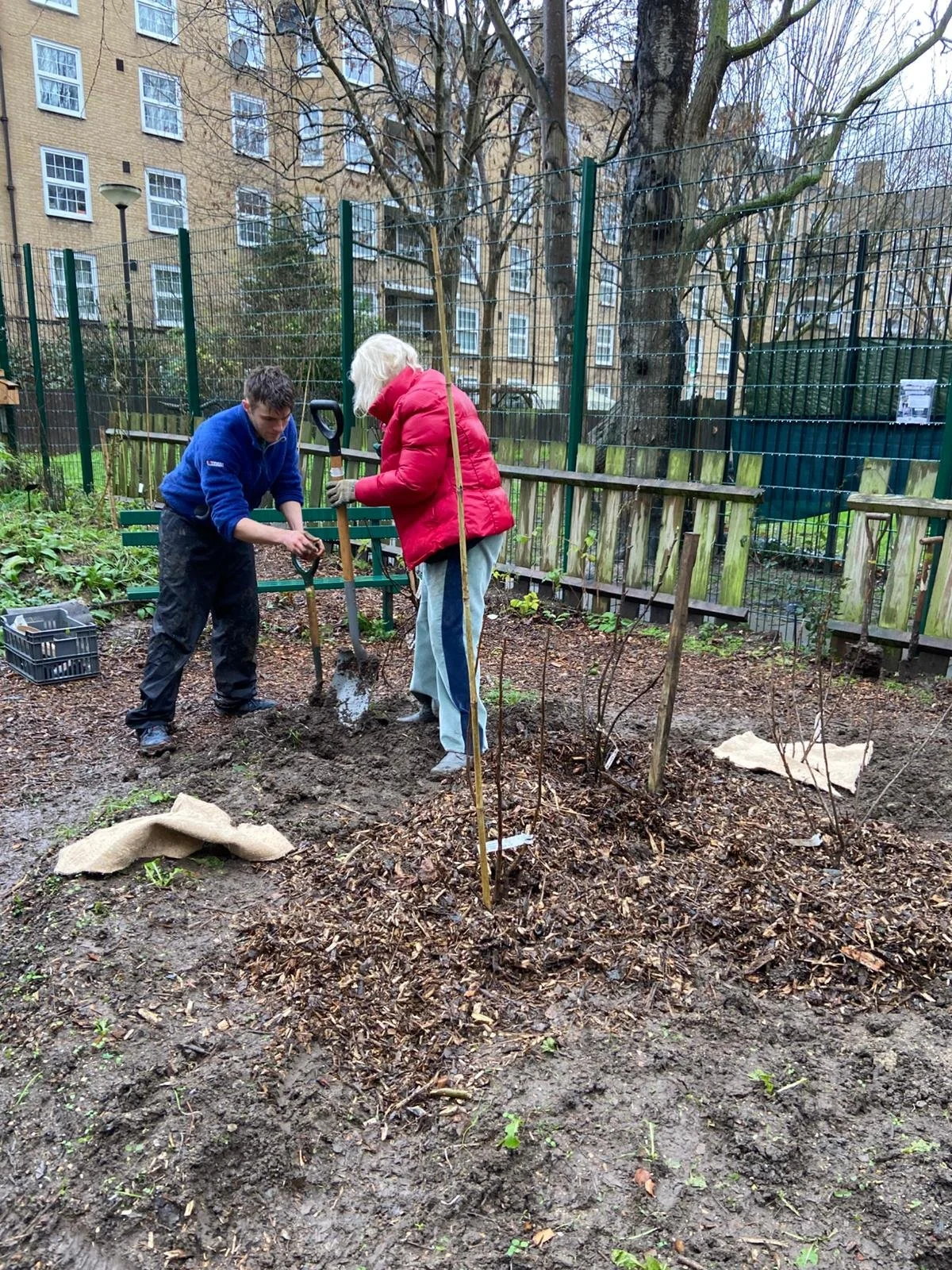 Planting at Woodland Garden.jpeg