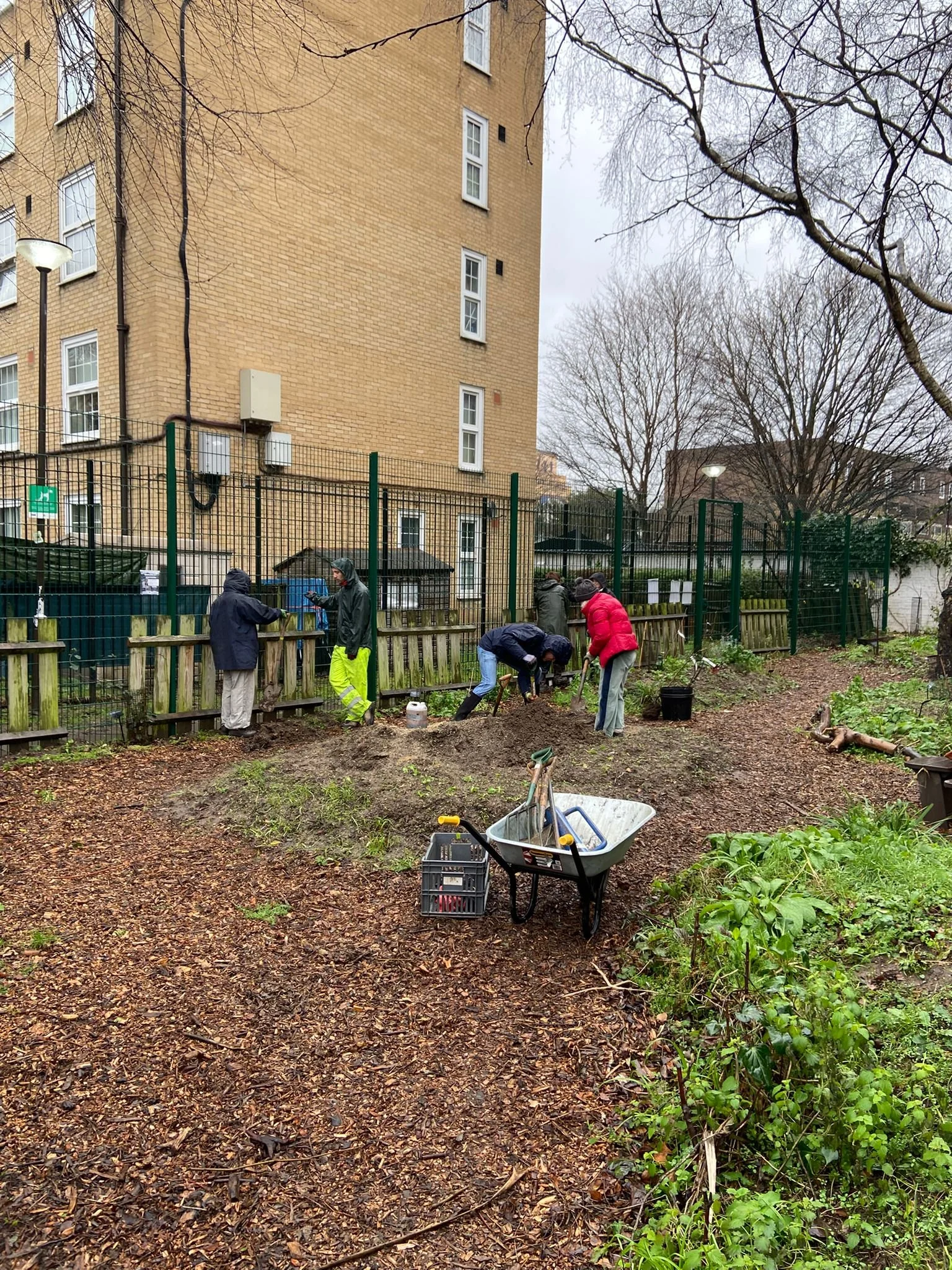 Planting at Woodland Garden4.jpeg