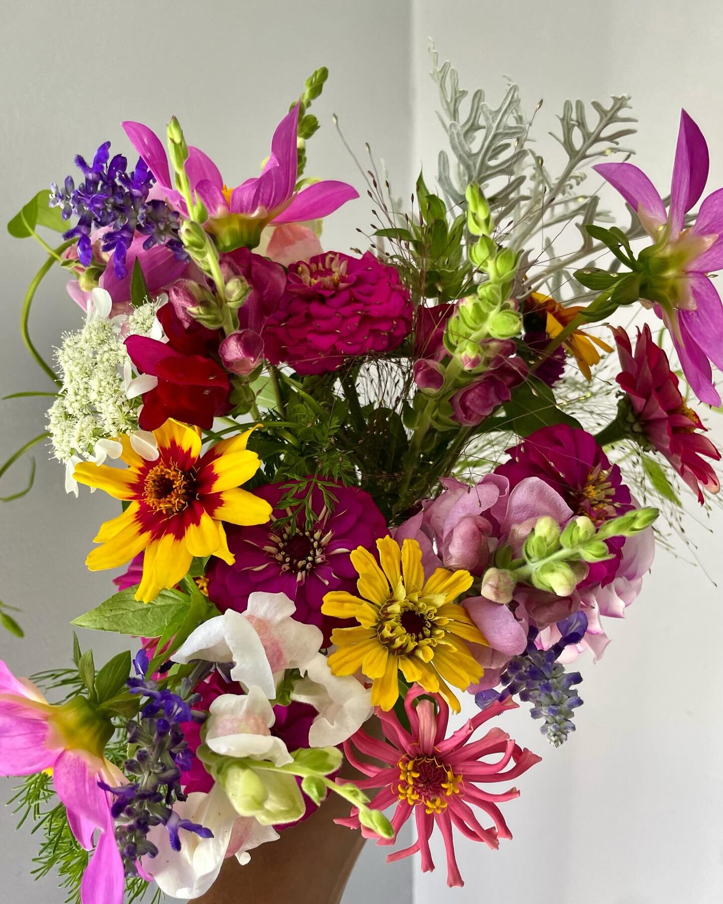 Happy new year! Over here at FPFF, the 2024 goal is to launch CSA bouquet subscriptions 😬 Simple in theory, a lil panic-inducing in reality. Do I offer both weekly and biweekly options? Do I go with flexible start dates (ie: 6 week subscription, sta