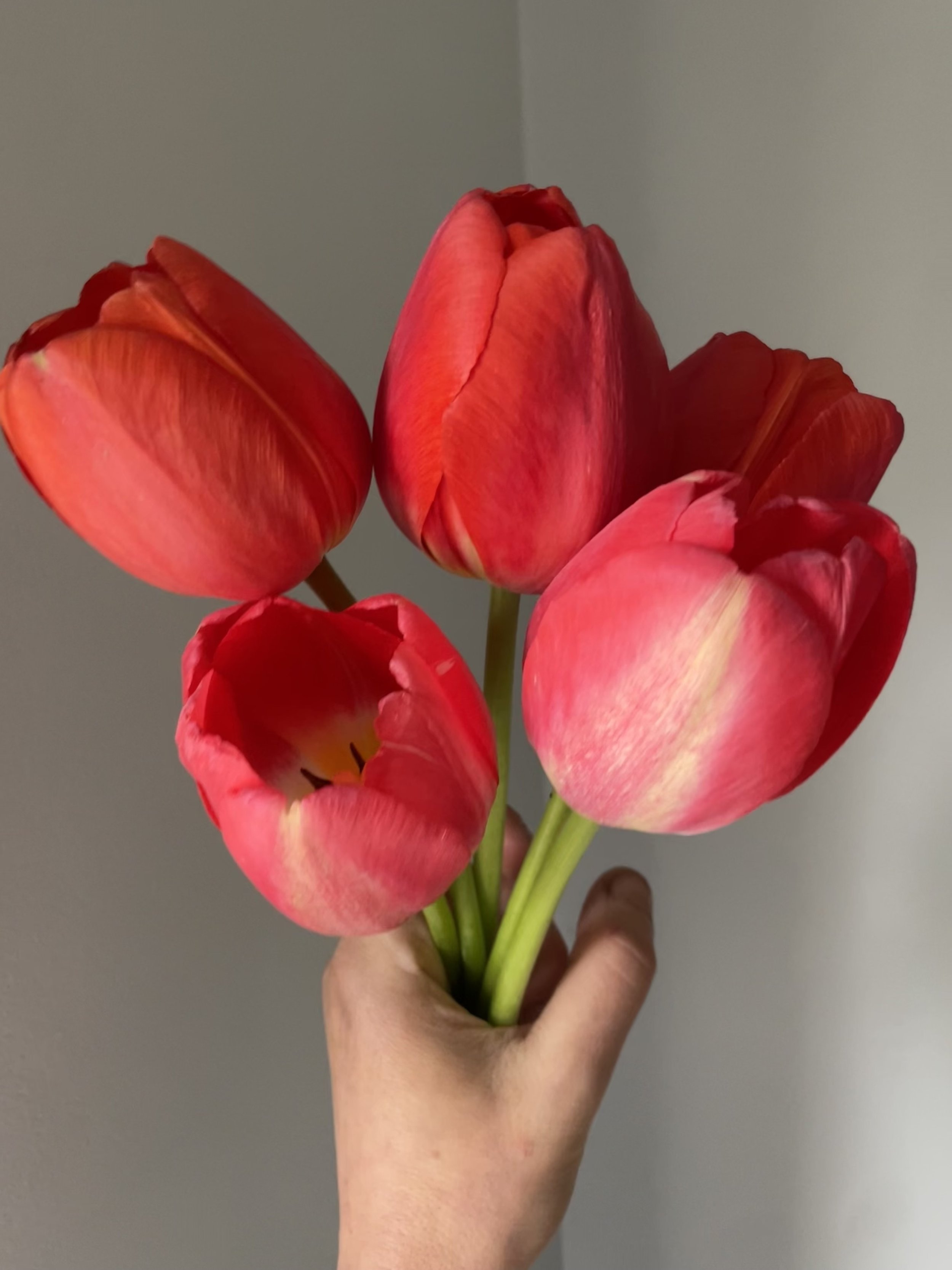 IMG_3603.jpeg