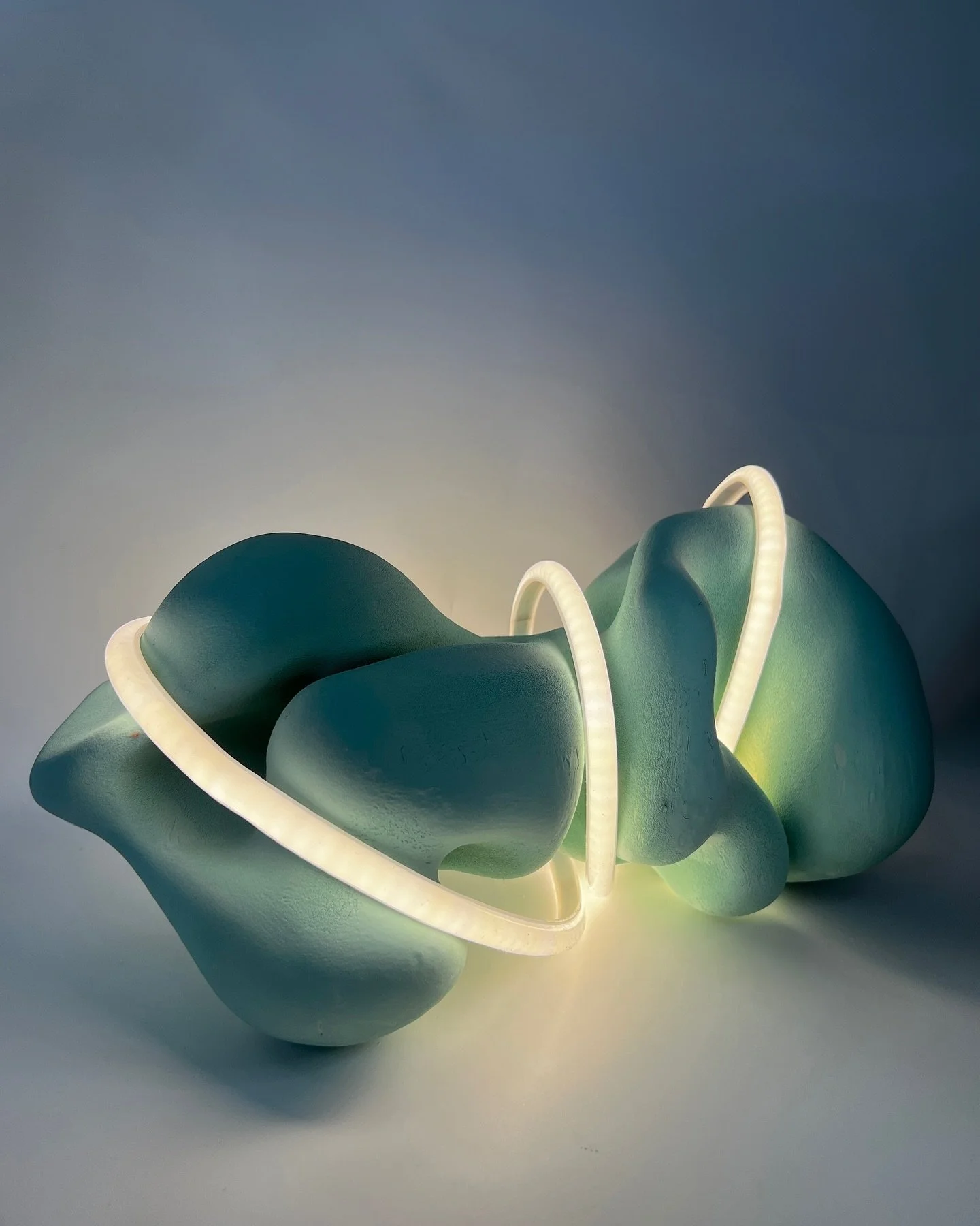 Organic form with blend of functionality!!

#ceramics #ceramicsculpture #neonlight