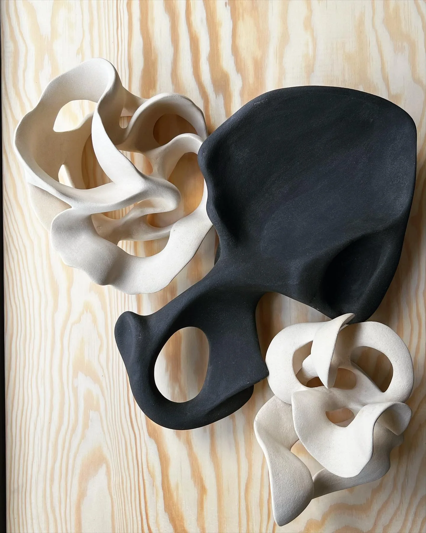 Black and white composition 

#blackclay #whiteclay #hightemperatureceramics #organicceramics #organicsculptures #modernsculpture