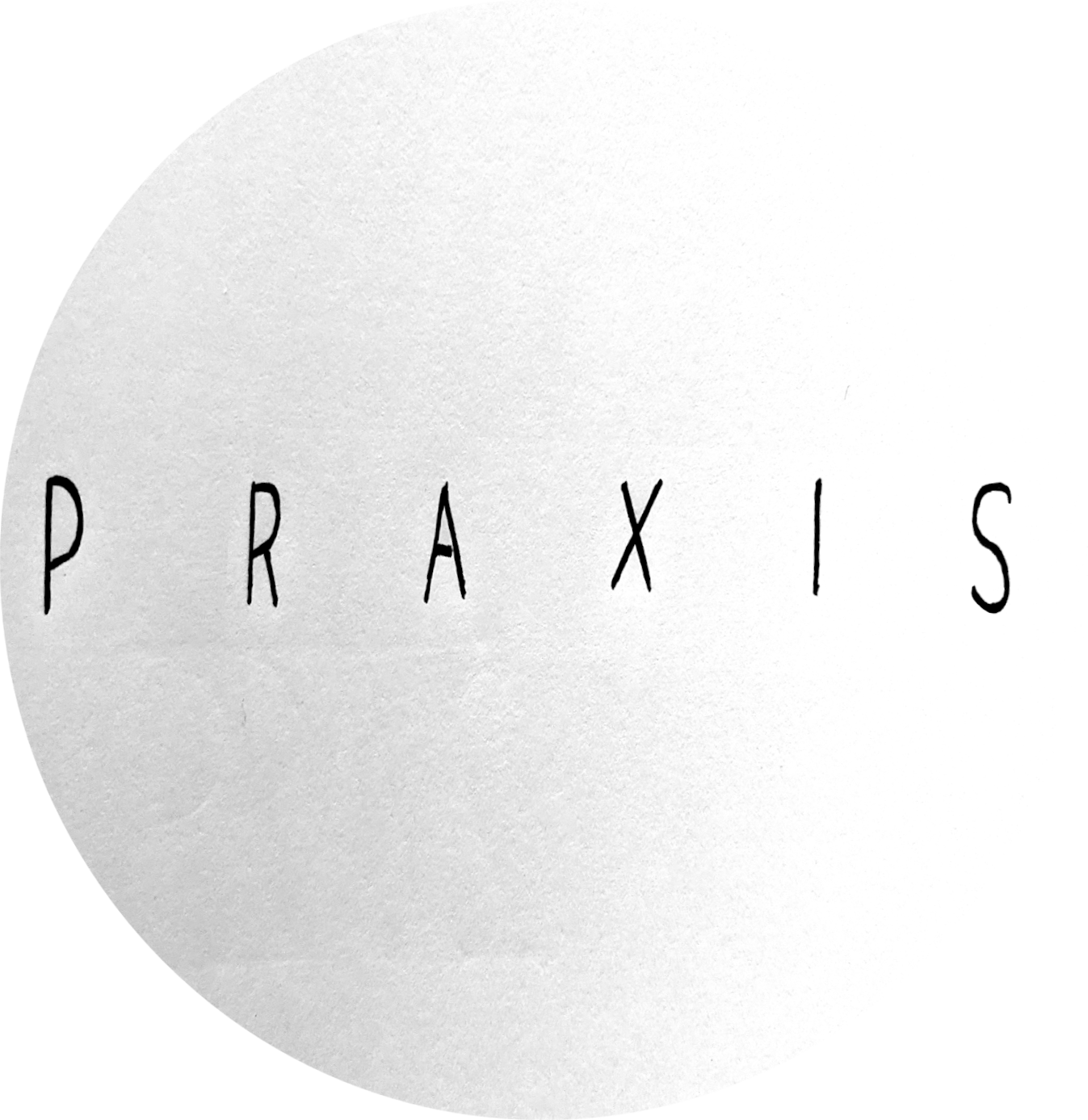 Praxis books, editing, poetry and publicity services