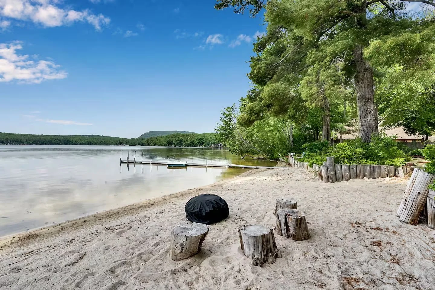 beach and stumps.jpg