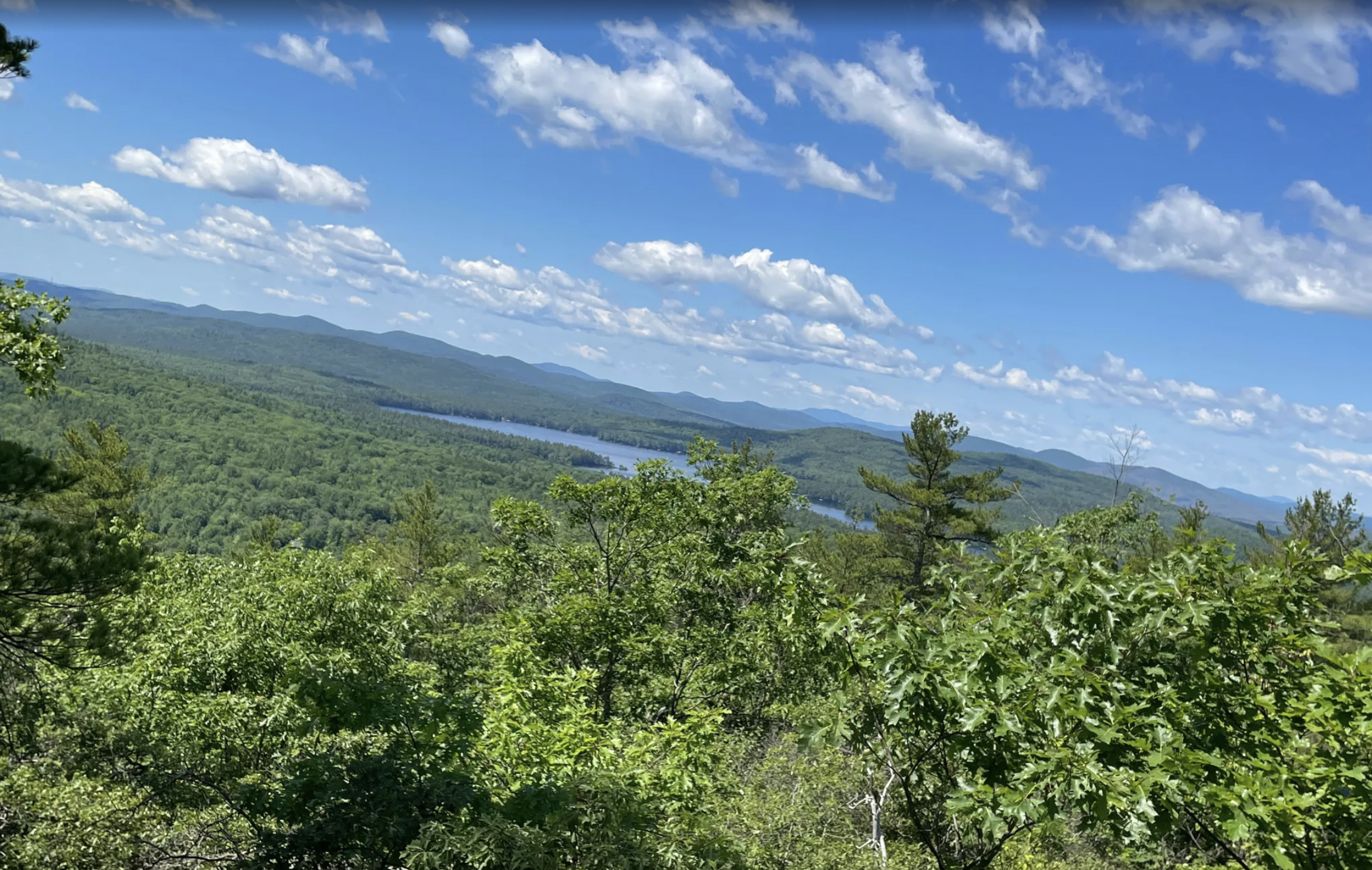 Screenshot 2026-03-02 at 7.36.17 PM.png