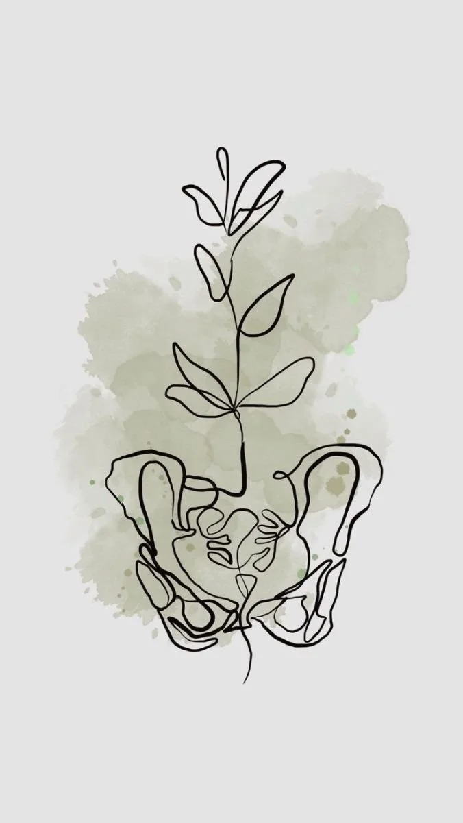 Pelvic Floor Graphic.jpg