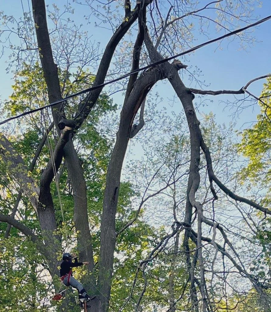 WhatsApp Image 2022-09-14 at 3.18.02 PM.jpeg