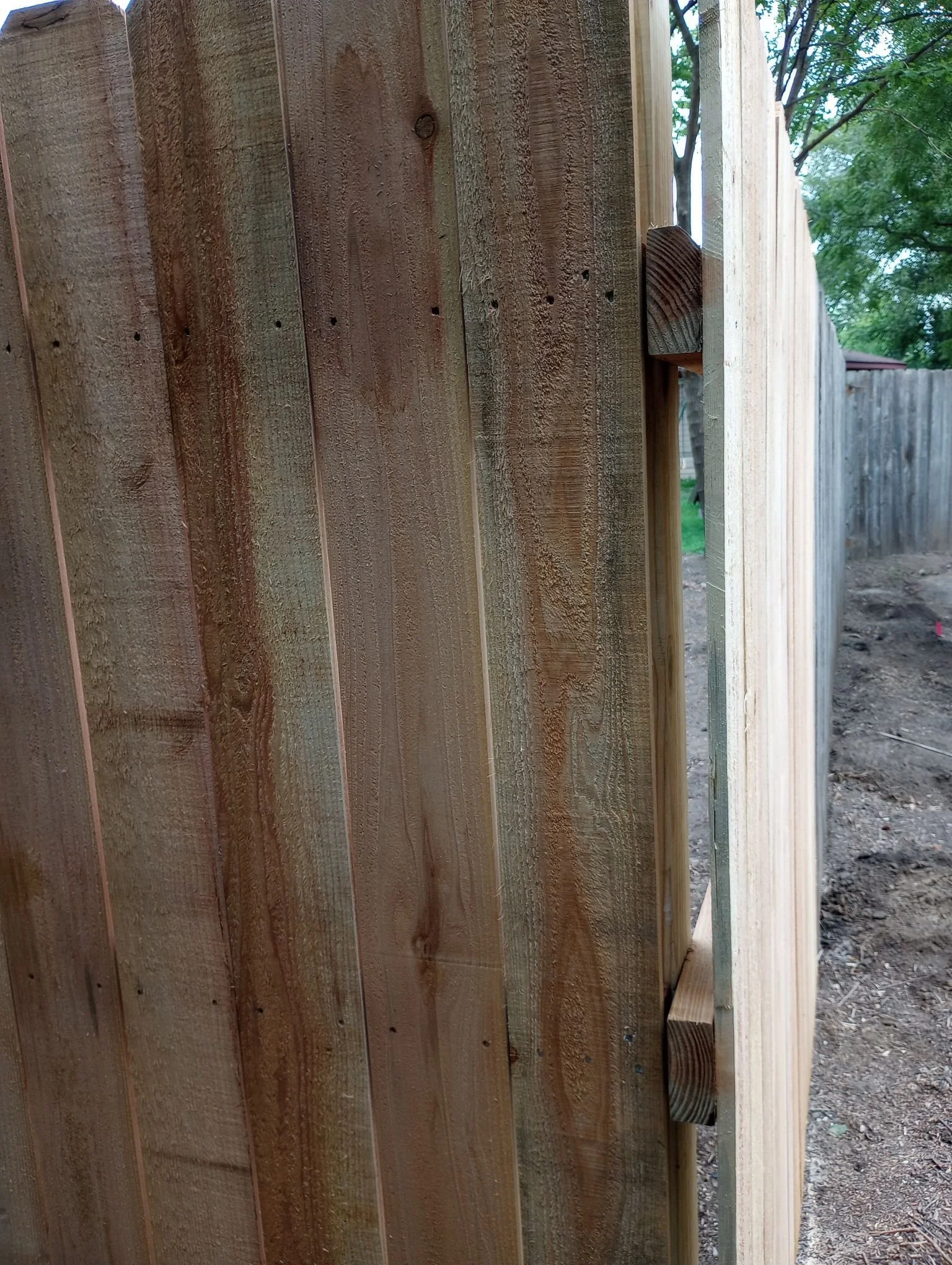 WhatsApp Image 2022-09-13 at 5.37.56 AM.jpeg