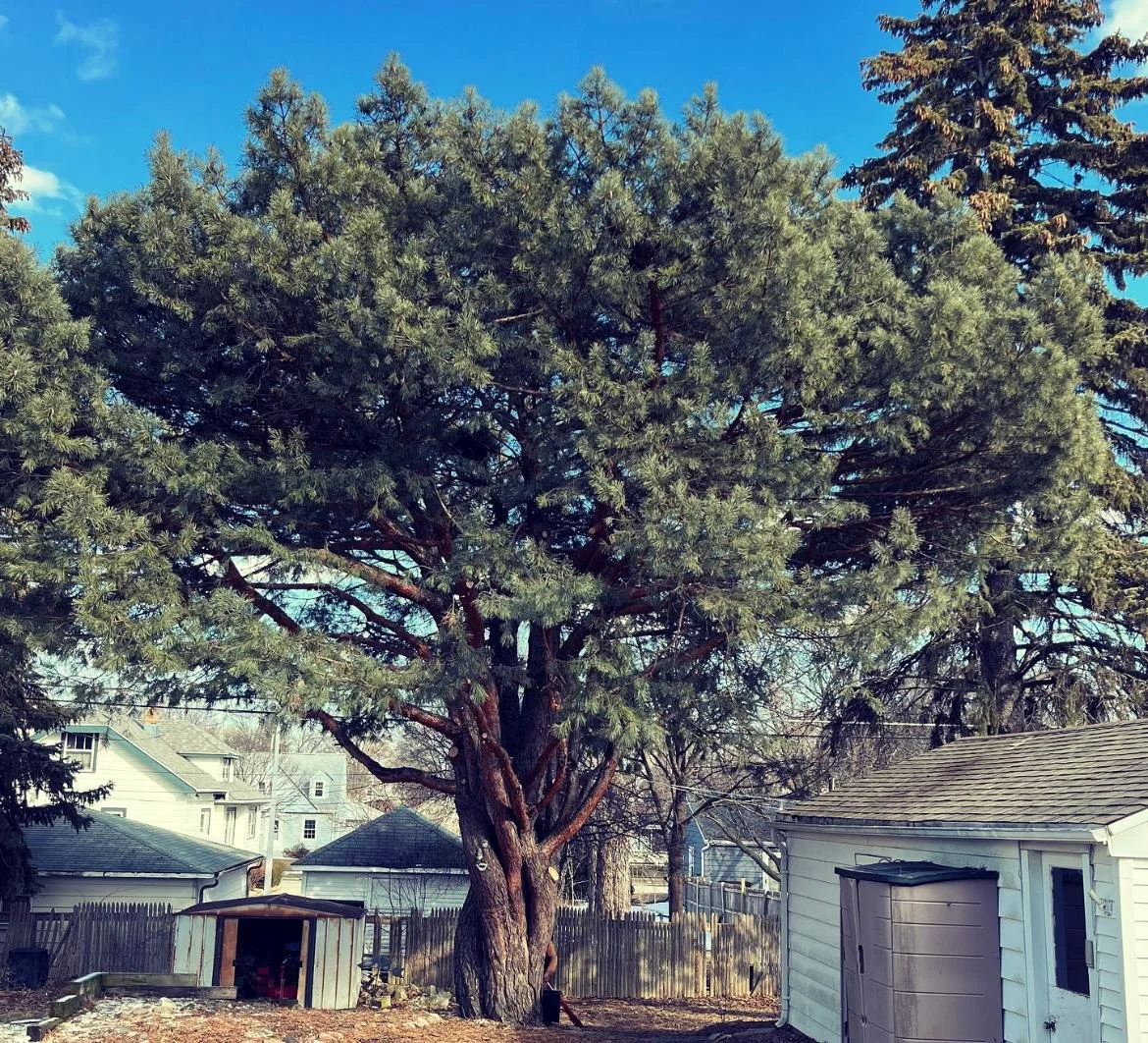 WhatsApp Image 2022-09-12 at 7.30.55 PM (1).jpeg