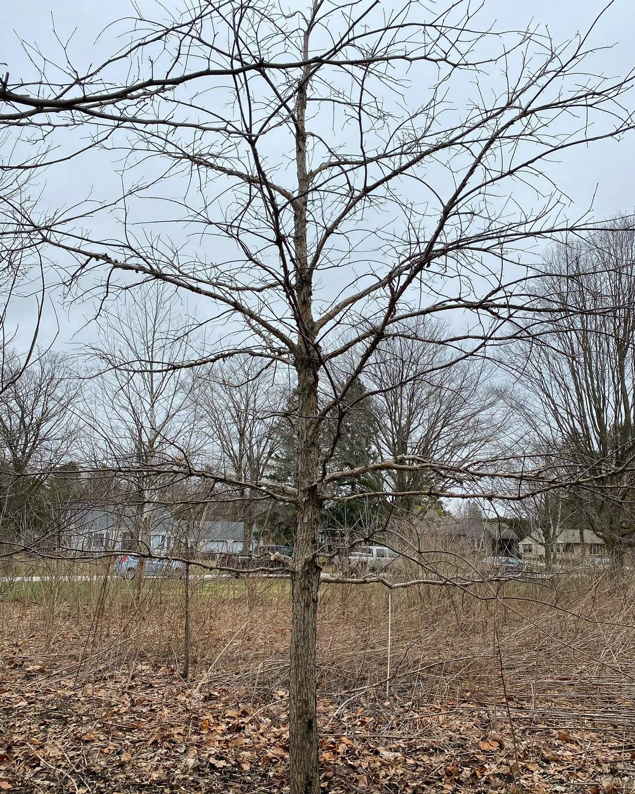 WhatsApp Image 2022-09-12 at 7.30.55 PM.jpeg