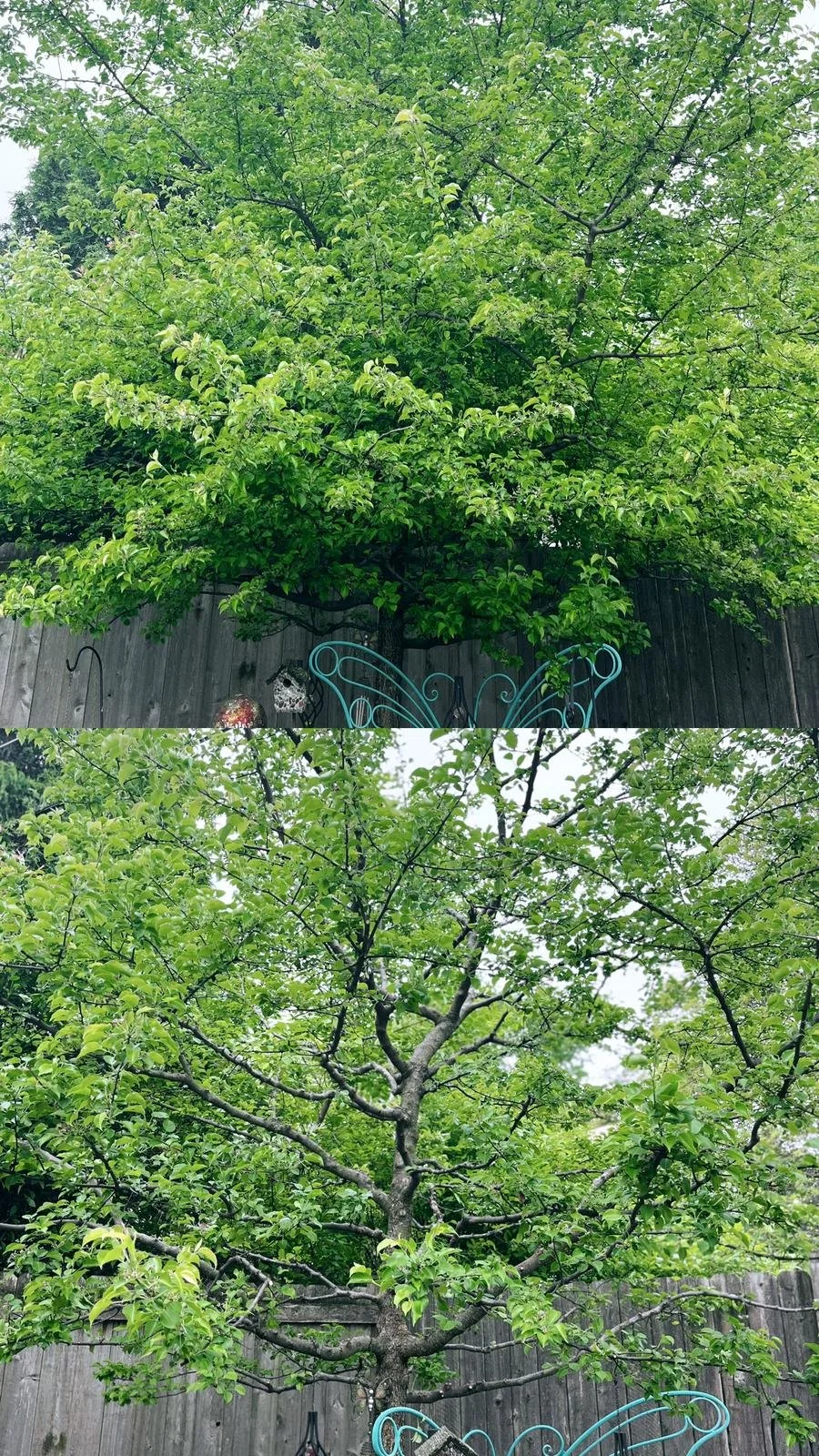 WhatsApp Image 2022-09-12 at 7.30.56 PM.jpeg