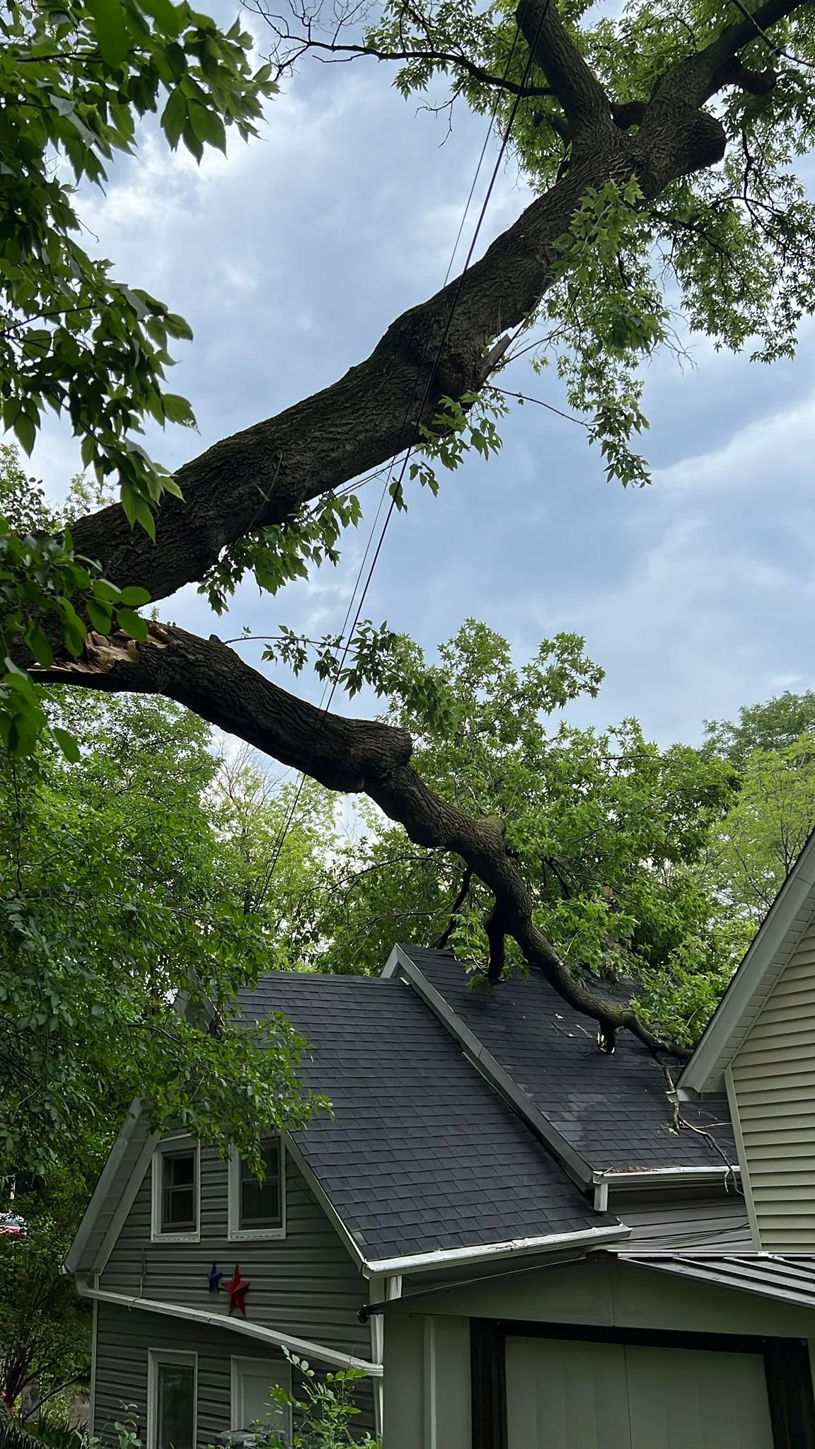 WhatsApp Image 2022-09-13 at 5.12.38 AM (1).jpeg