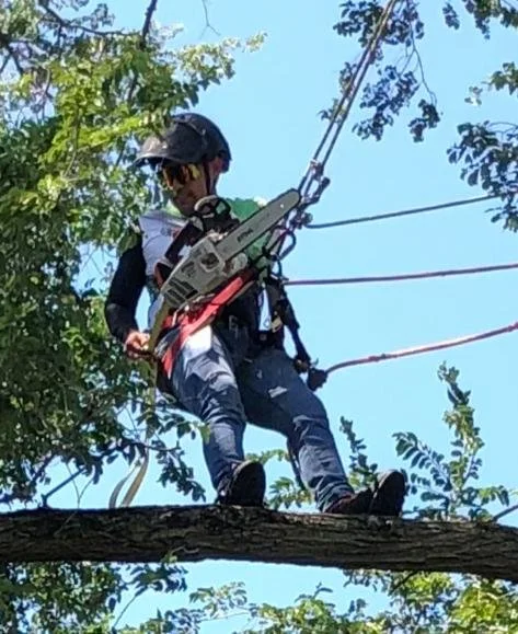 WhatsApp Image 2022-09-14 at 3.15.02 PM.jpeg