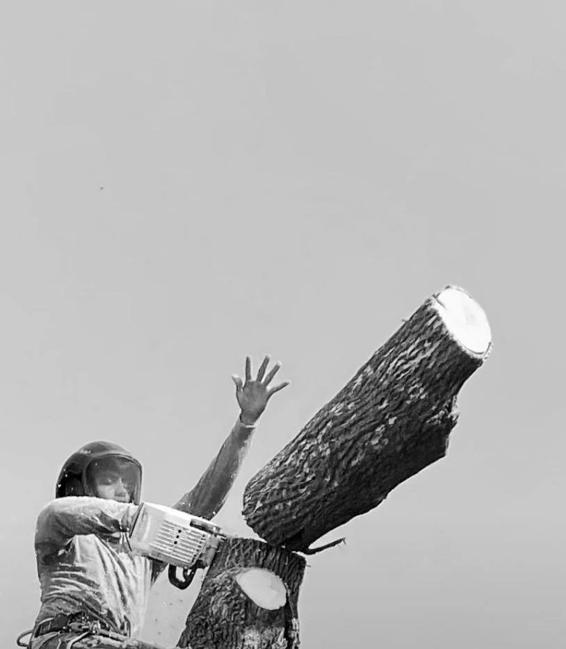 WhatsApp Image 2022-09-12 at 7.14.32 PM (1).jpeg