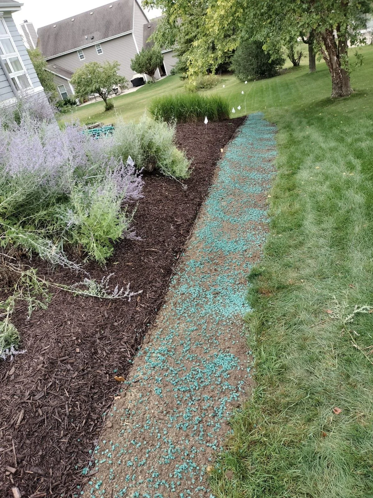 WhatsApp Image 2022-09-13 at 4.59.31 AM.jpeg