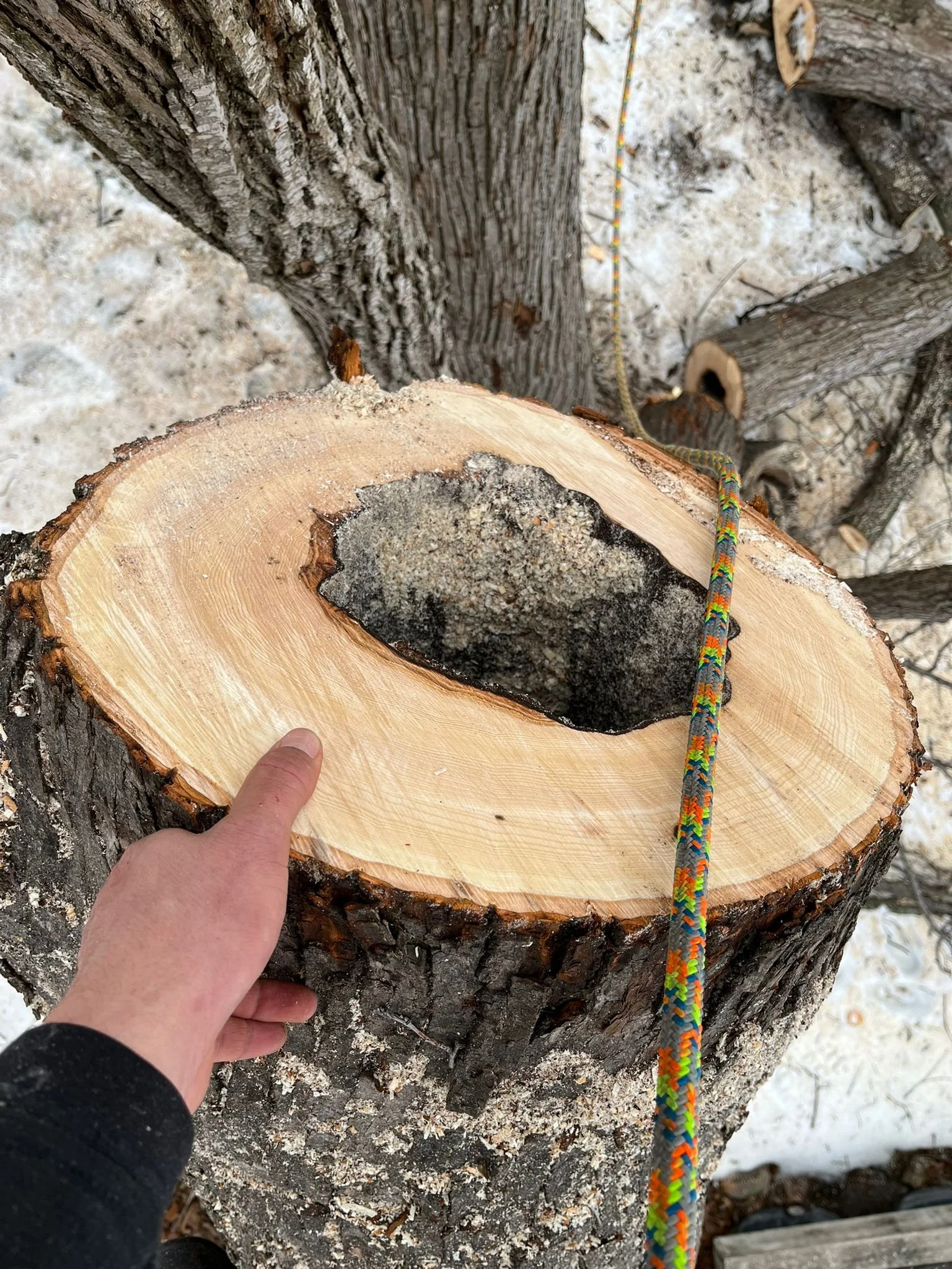 WhatsApp Image 2022-09-13 at 5.12.40 AM.jpeg