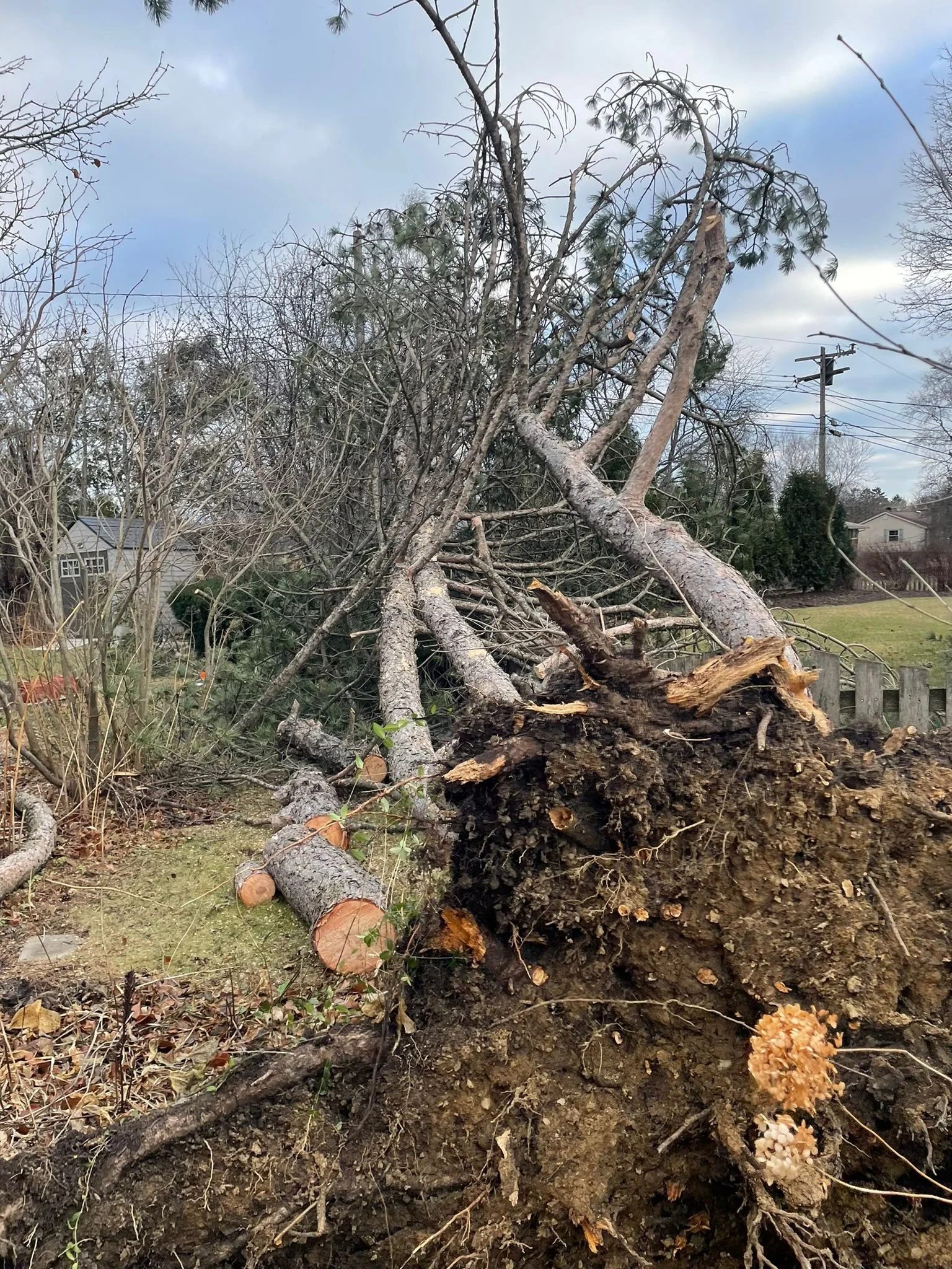 WhatsApp Image 2022-09-13 at 5.12.41 AM.jpeg