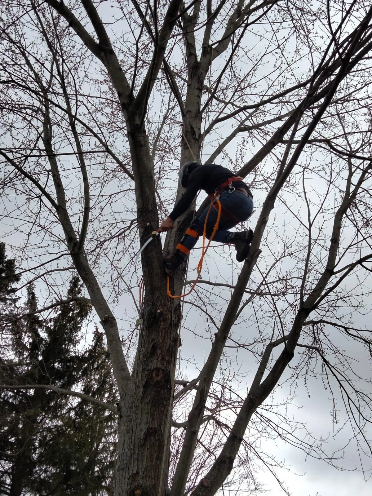 WhatsApp Image 2022-09-12 at 7.30.55 PM (2).jpeg