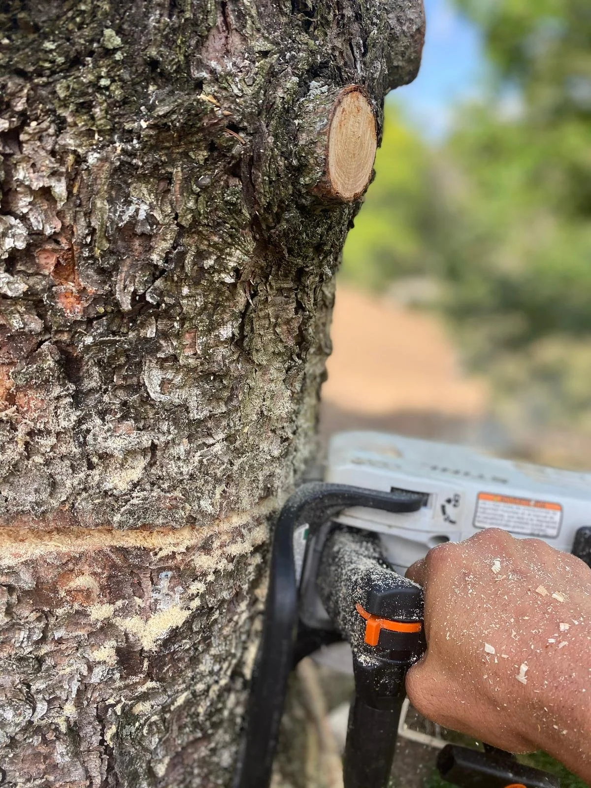 WhatsApp Image 2022-09-12 at 7.14.25 PM (2).jpeg