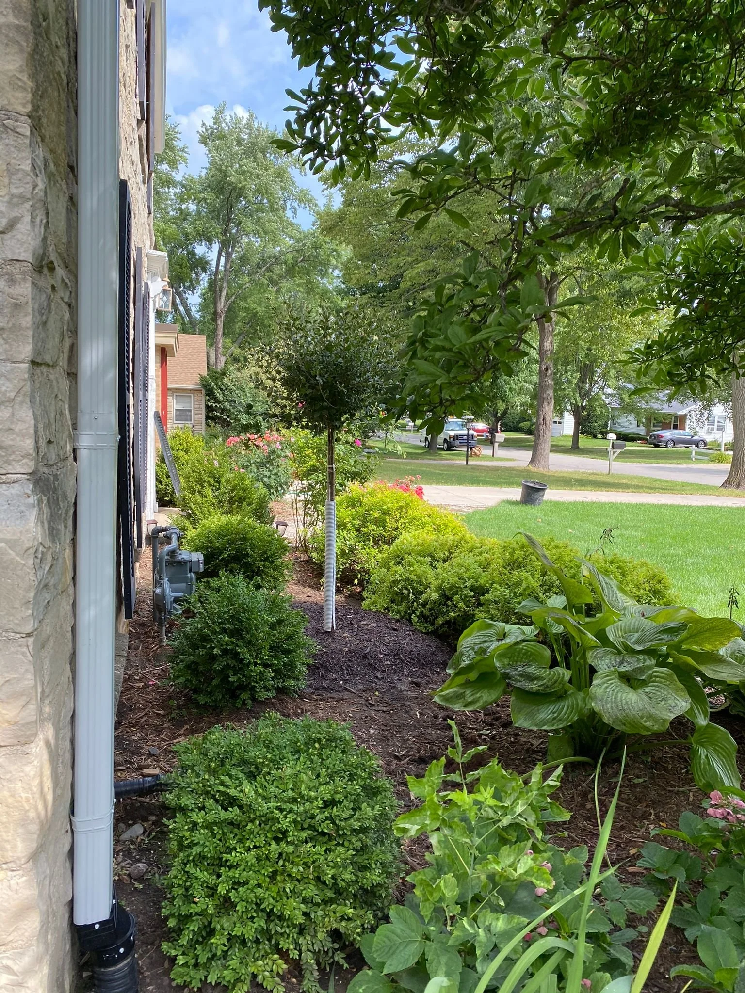 WhatsApp Image 2022-09-13 at 5.25.43 AM.jpeg