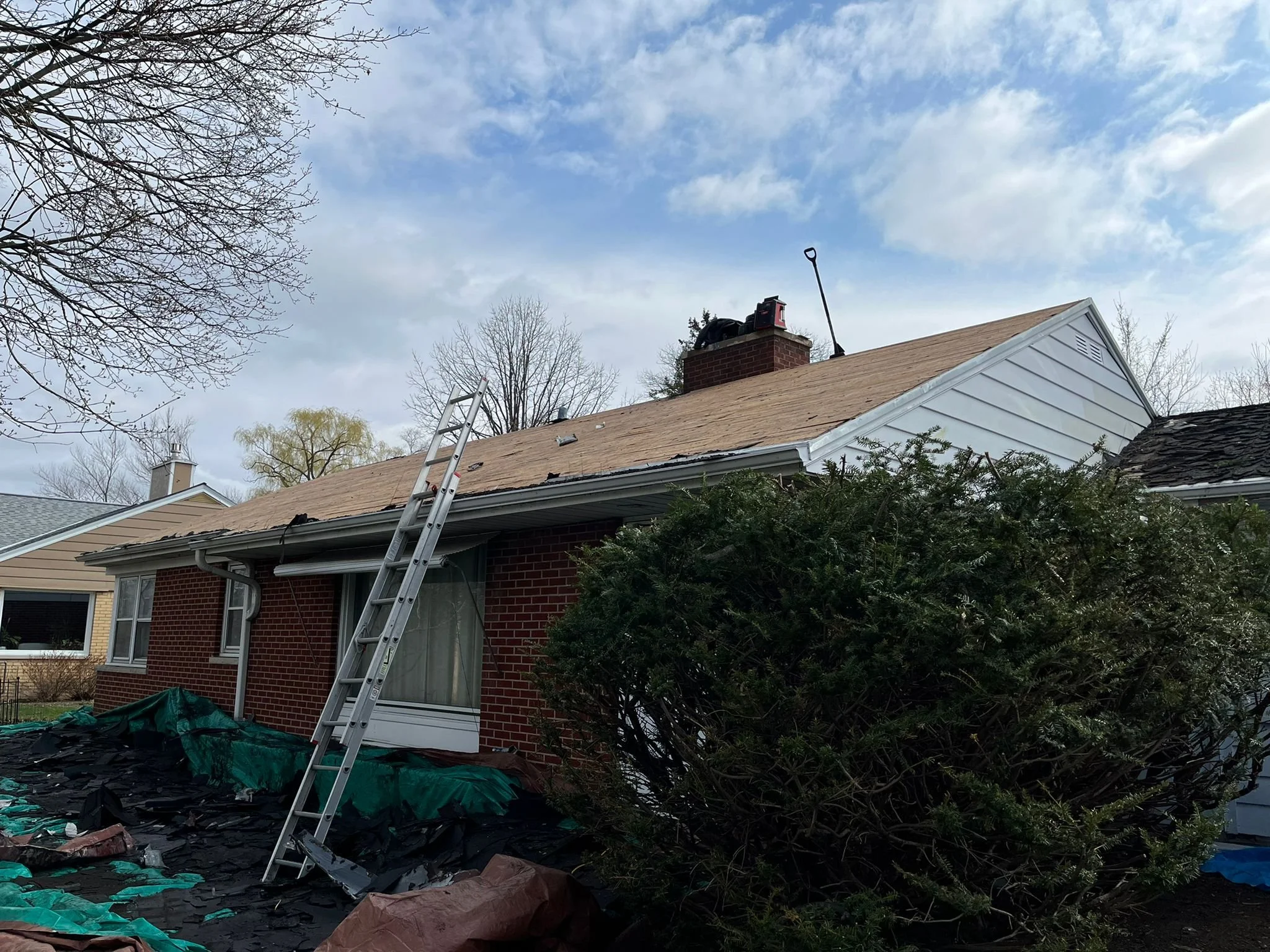 WhatsApp Image 2022-09-13 at 5.37.59 AM.jpeg