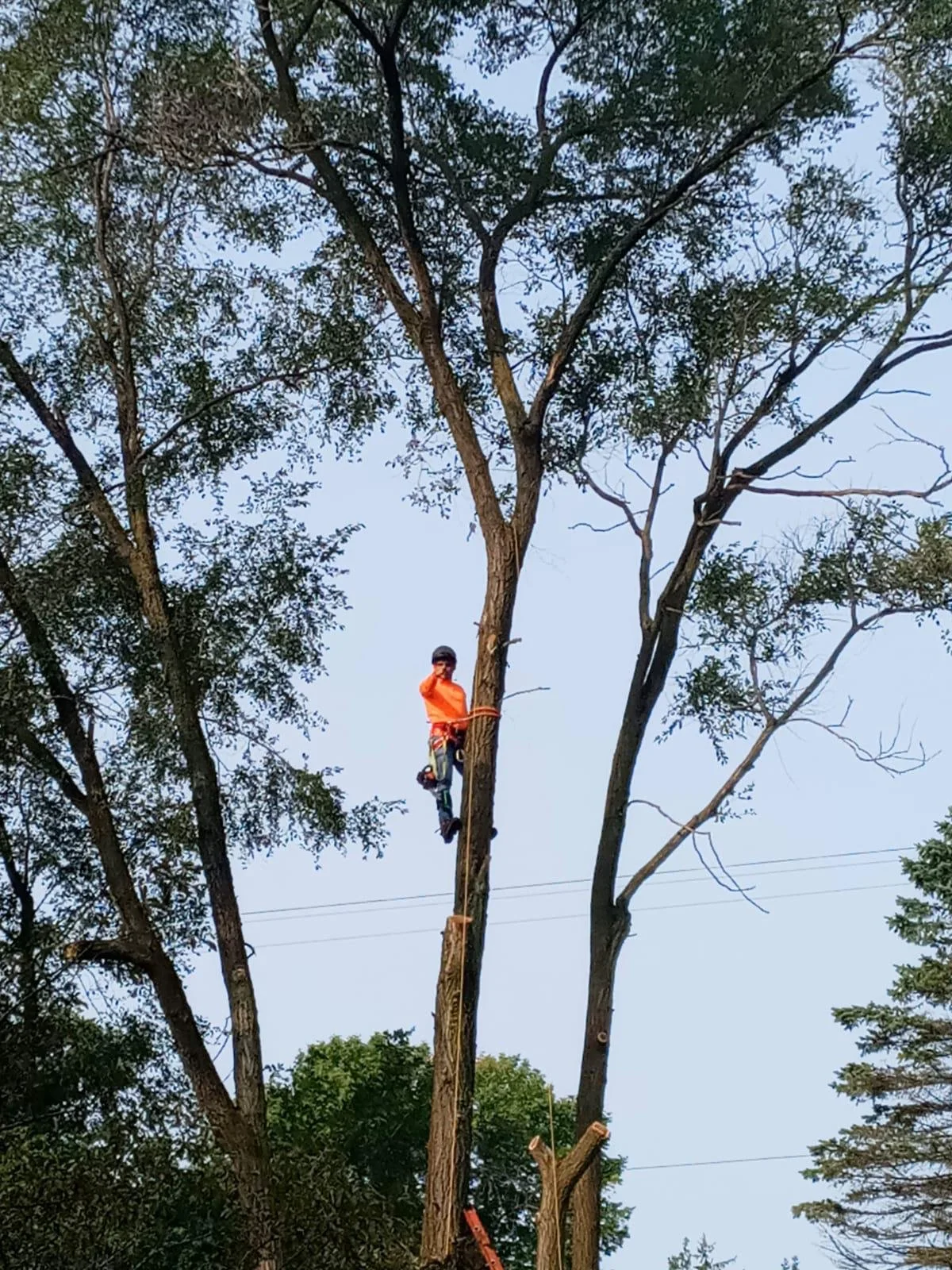 WhatsApp Image 2022-09-12 at 7.14.25 PM (1).jpeg