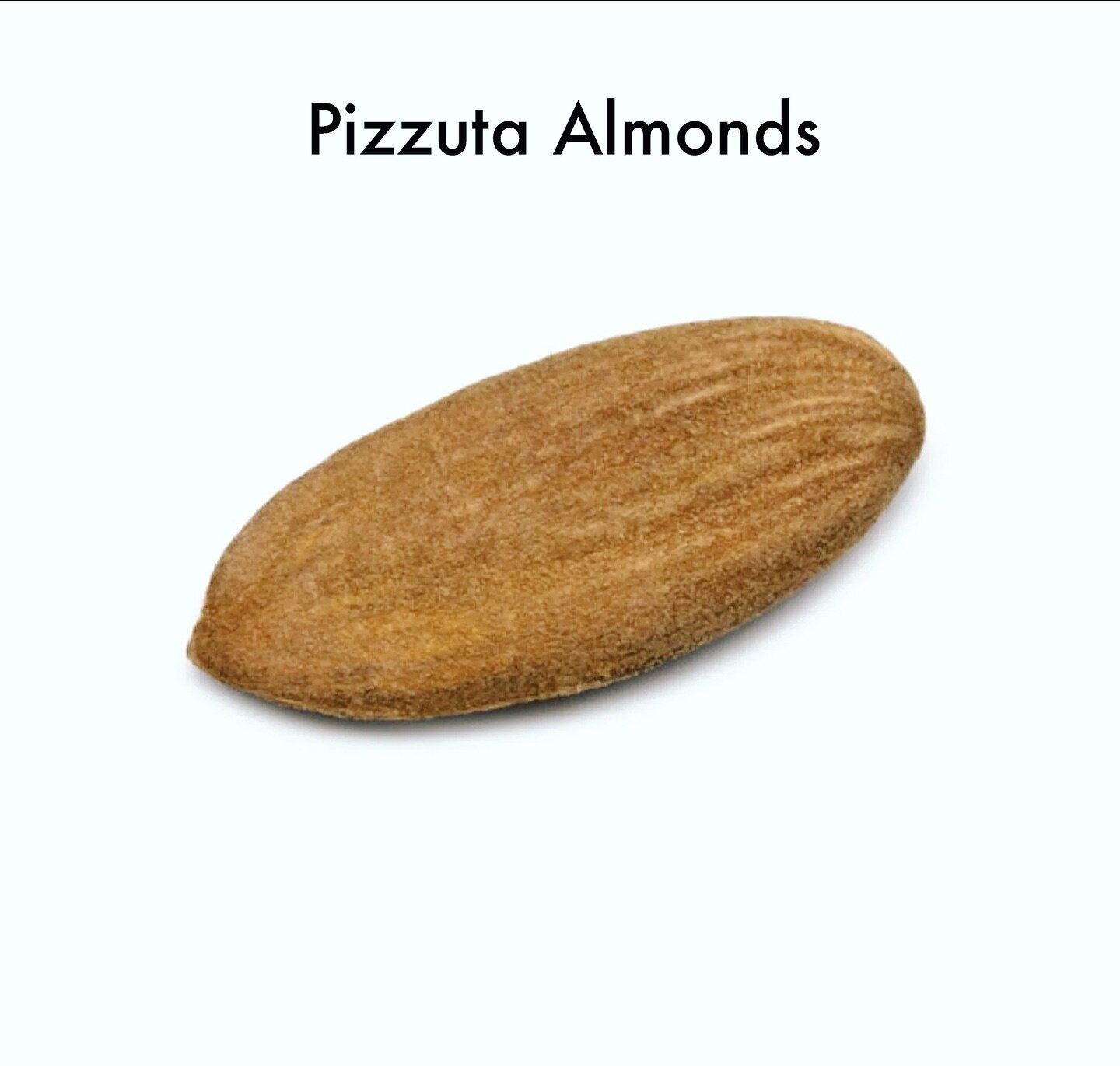 Happy National Almond Day! 

Did you know that we are the only vendor in America selling Pizzuta Almonds from our supplier (a small family farm in Sicily)?

#pizzuta almonds are an heirloom variety of almond grown in a small region on the coast of Si