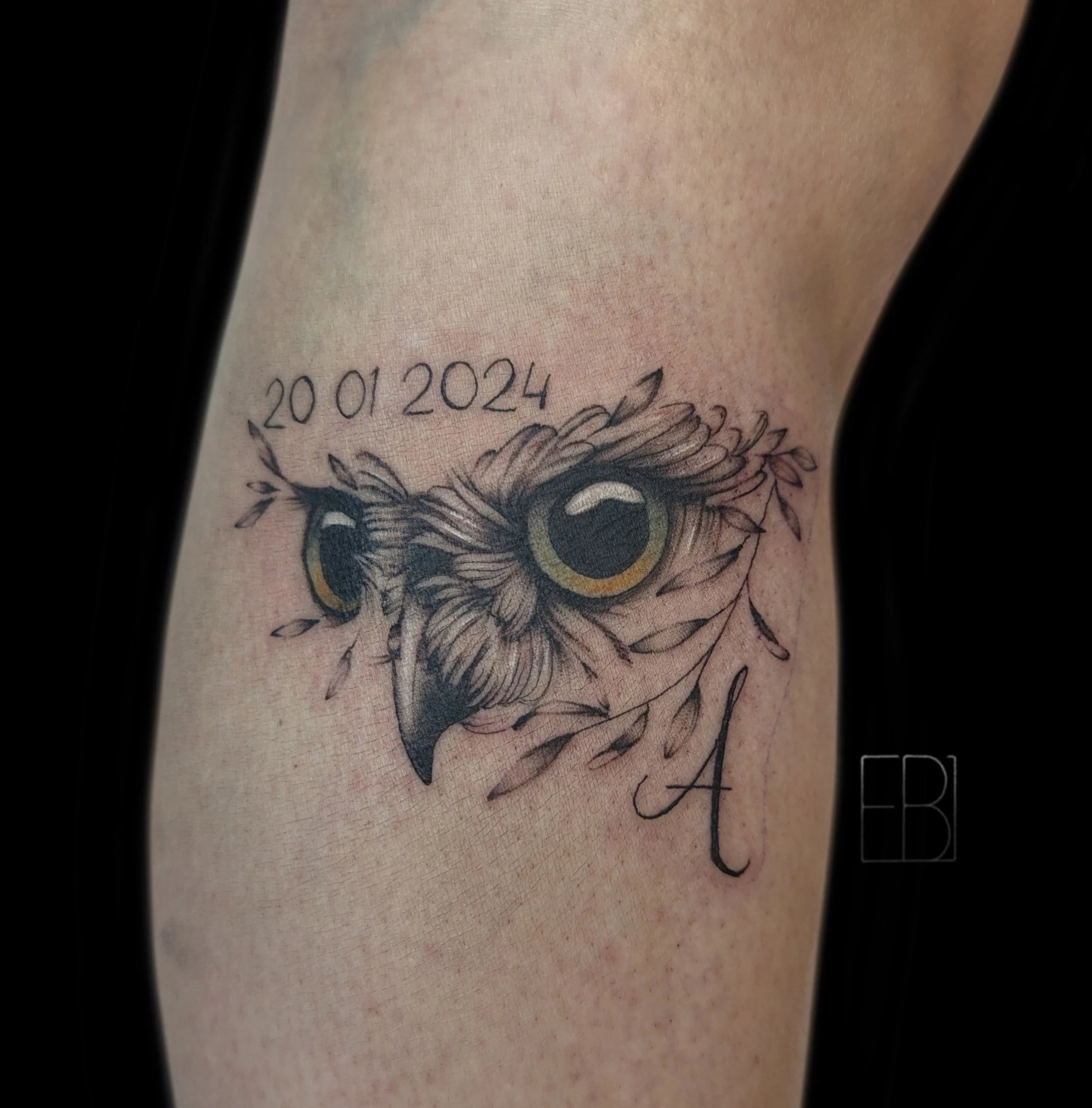 Untitled_Artwork (10)~2.jpeg