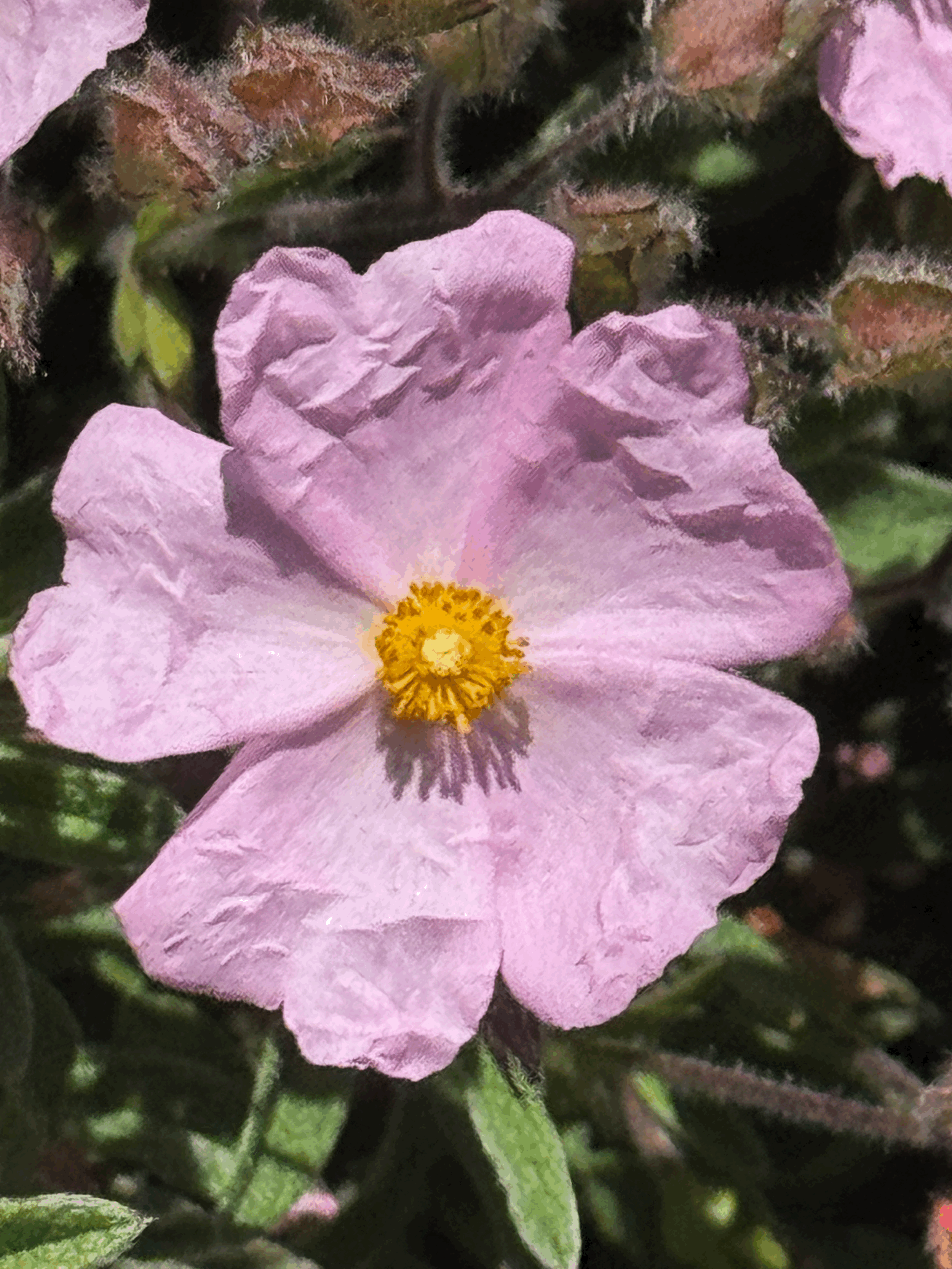 Caring for Sick Kids Without Losing Yourself: The Honest Reality