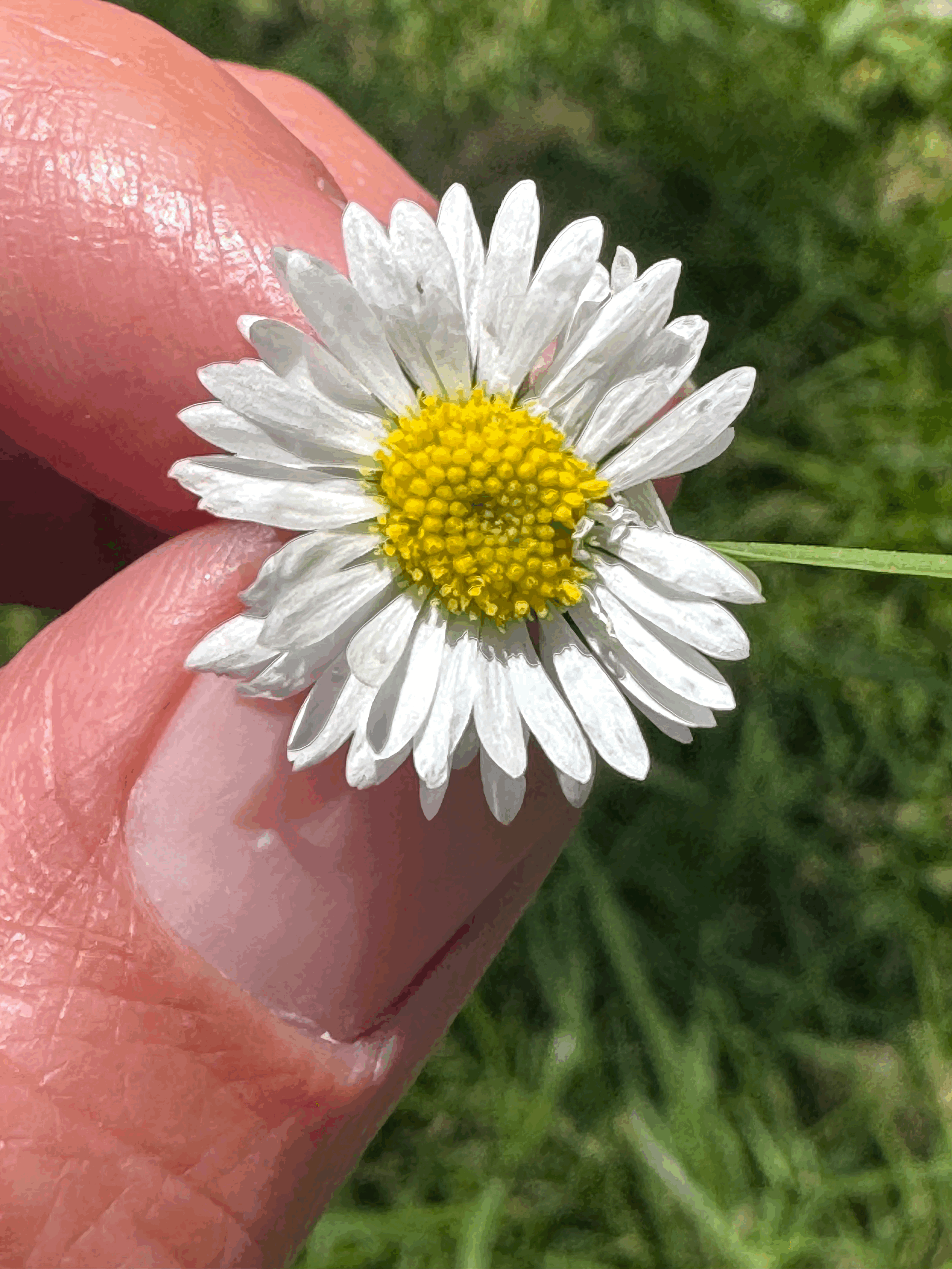 Too Tired to Work Out?~Start With ONE Simple Step