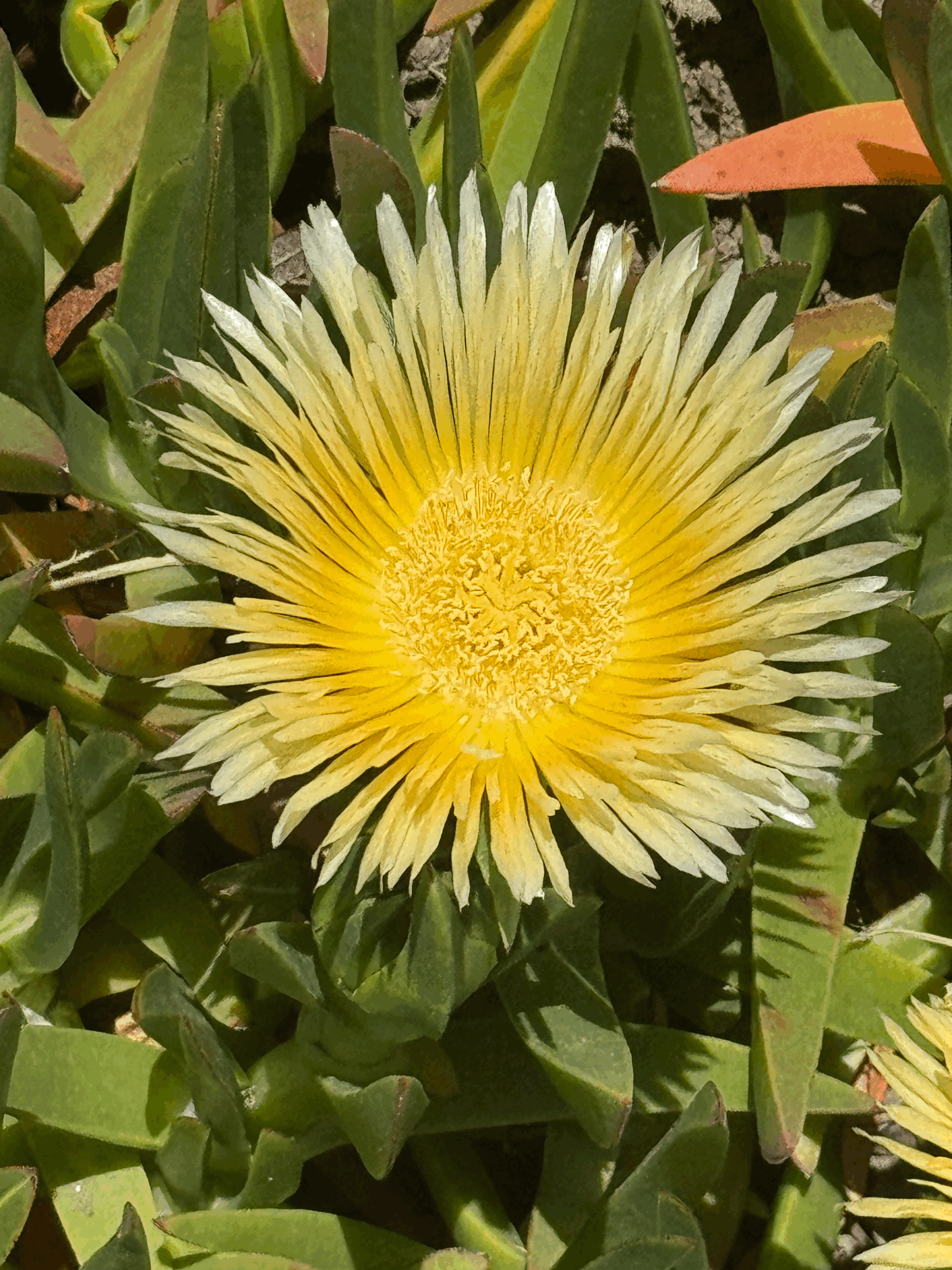 Honoring My Mom, Surviving Motherhood, and Finding Peace in Nature