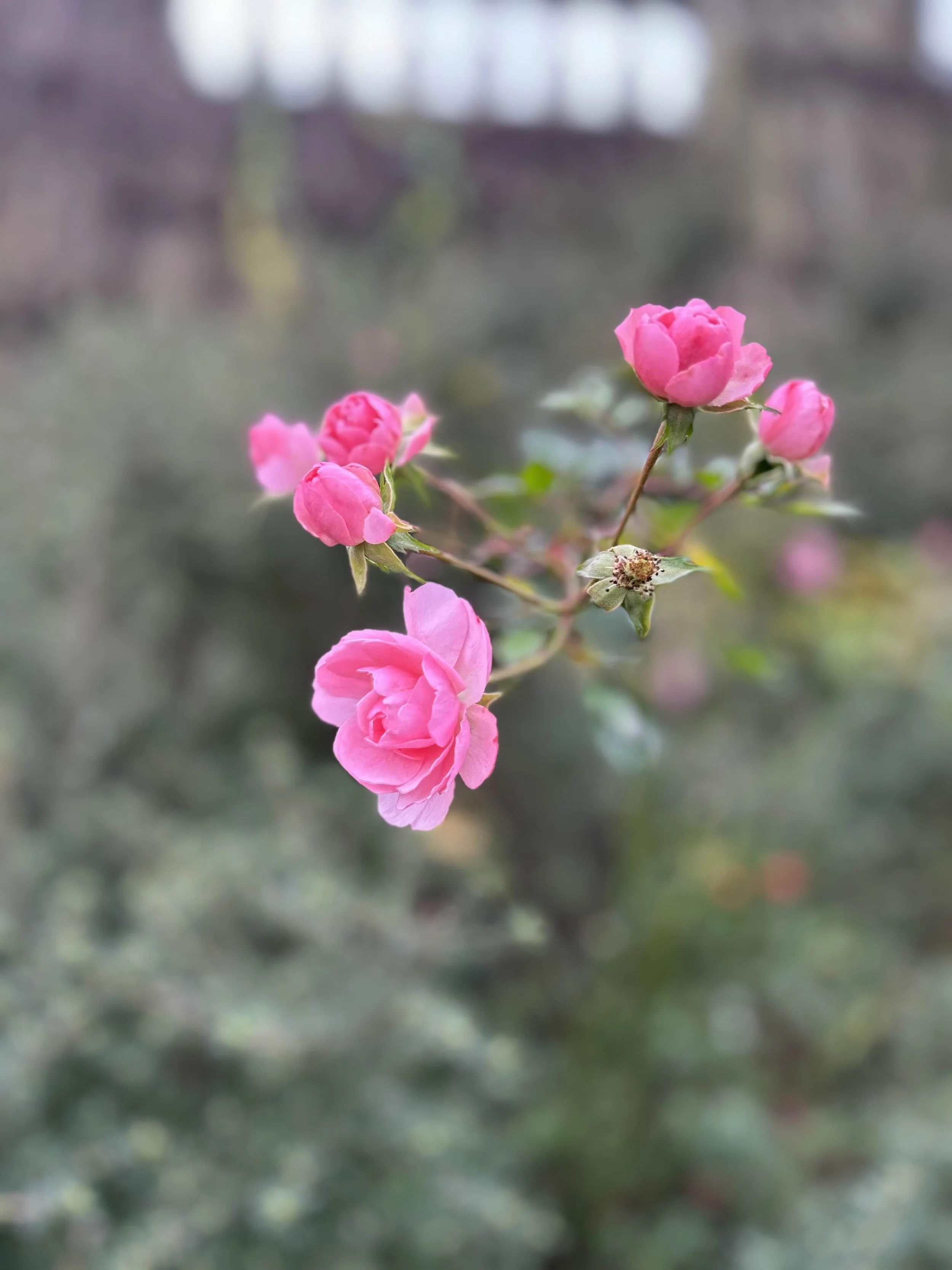 why is it so hard to ask for help?