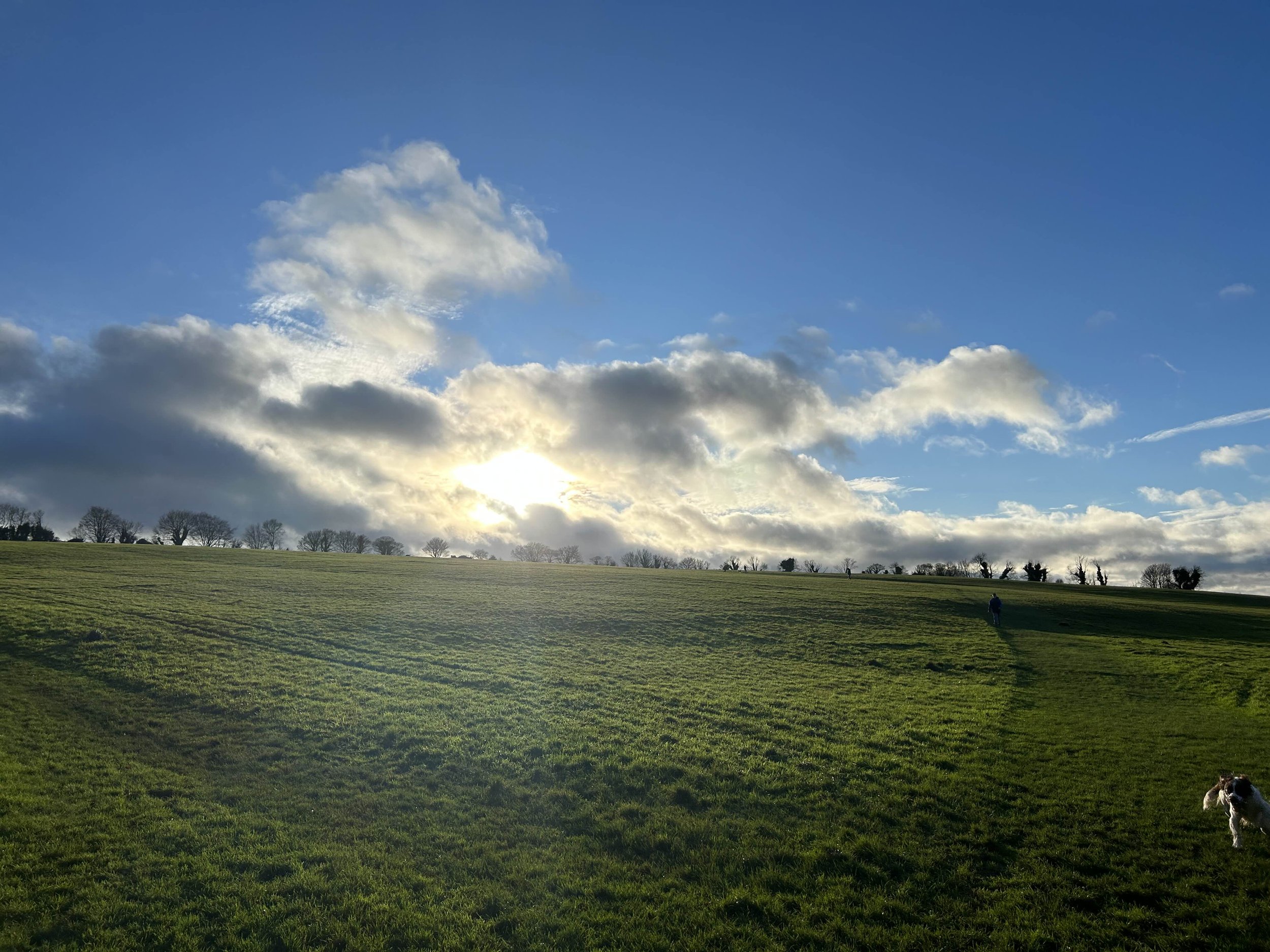 You Deserve a Break: A Reminder We Aren't Robots 