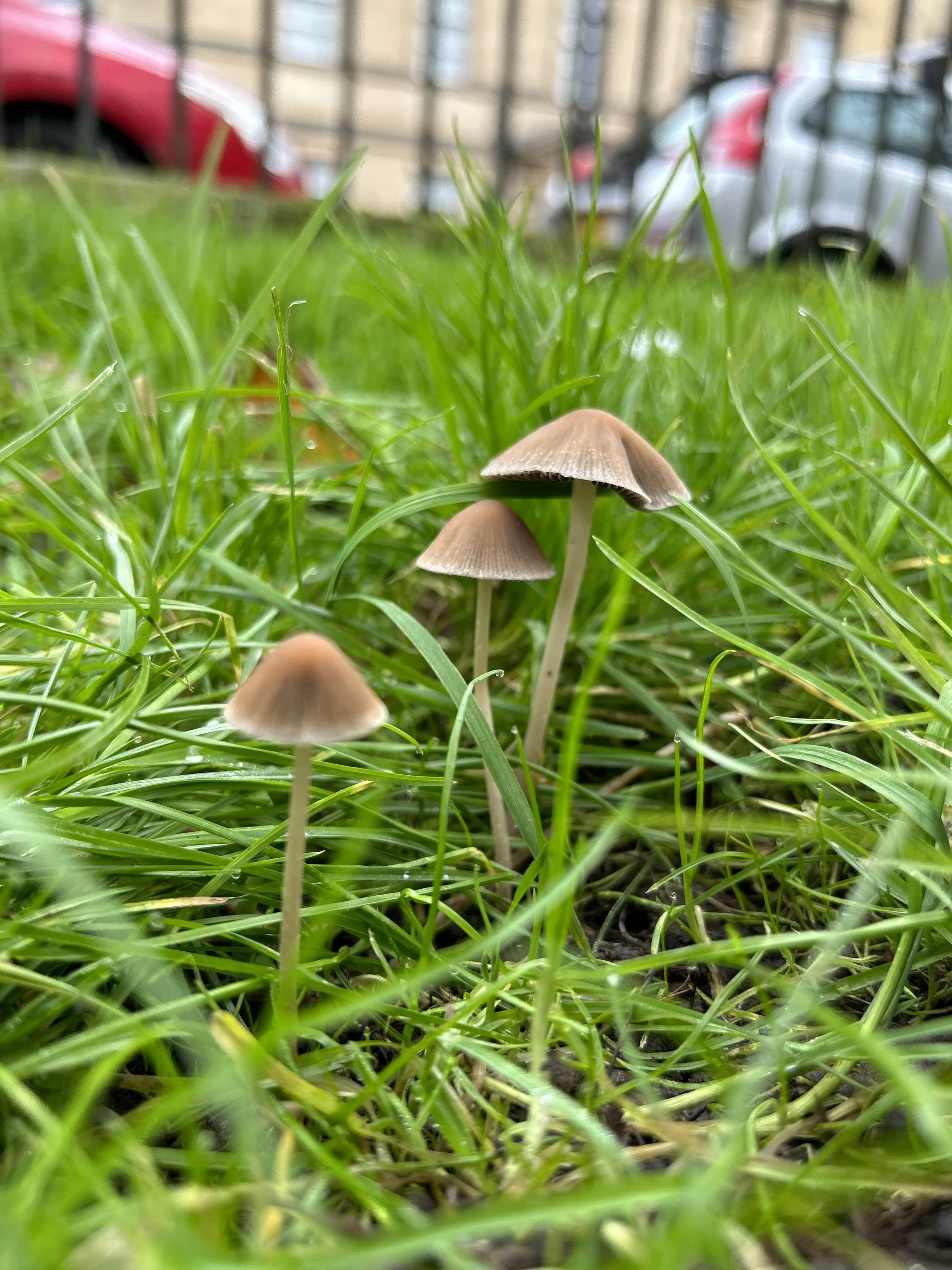 Dear 30-Year-Old Me: You Survived, You Thrived, and You Made This Life Possible