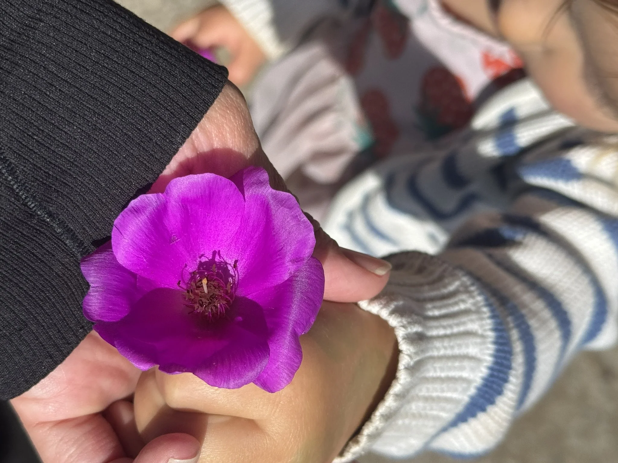 Antisemitism, Israel-Palestine, and Empathy