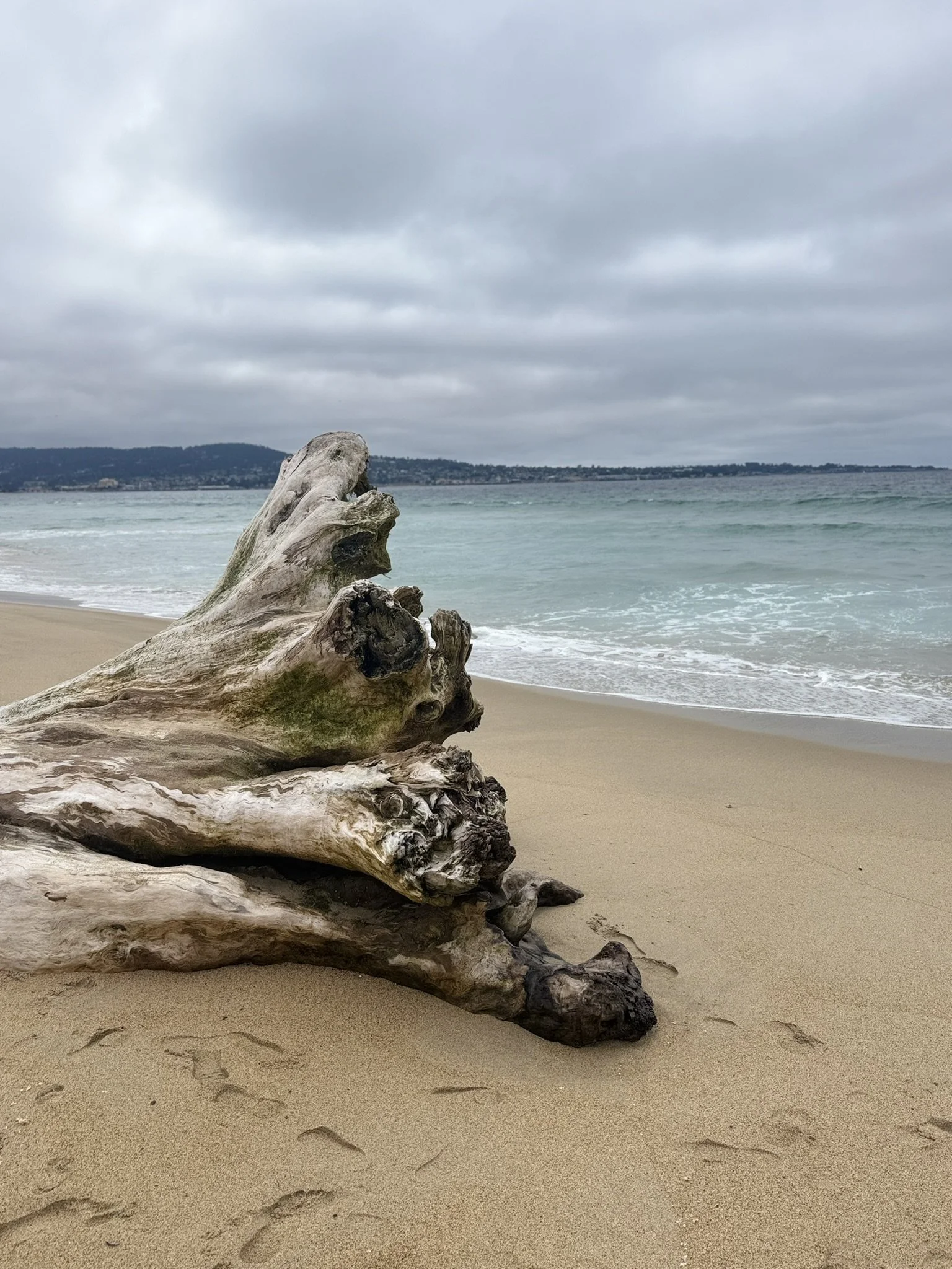 Managing Chronic Pain When Nothing Seems to Work