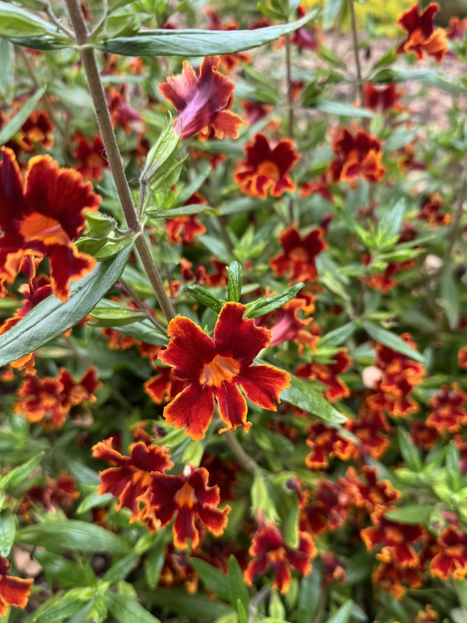 How Slowing Down Strengthened Our Bond