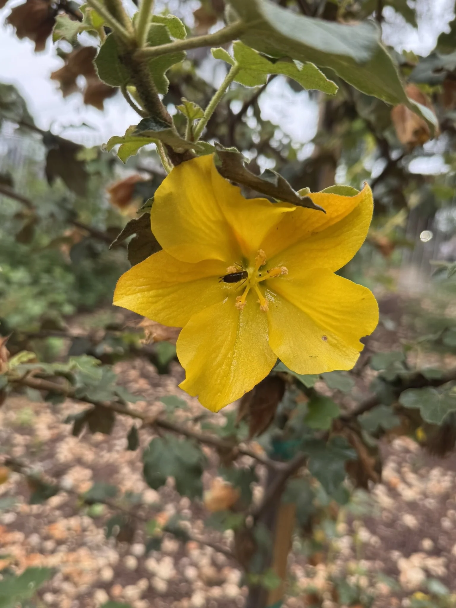 It’s Not Okay—And It’s Happening Every Day