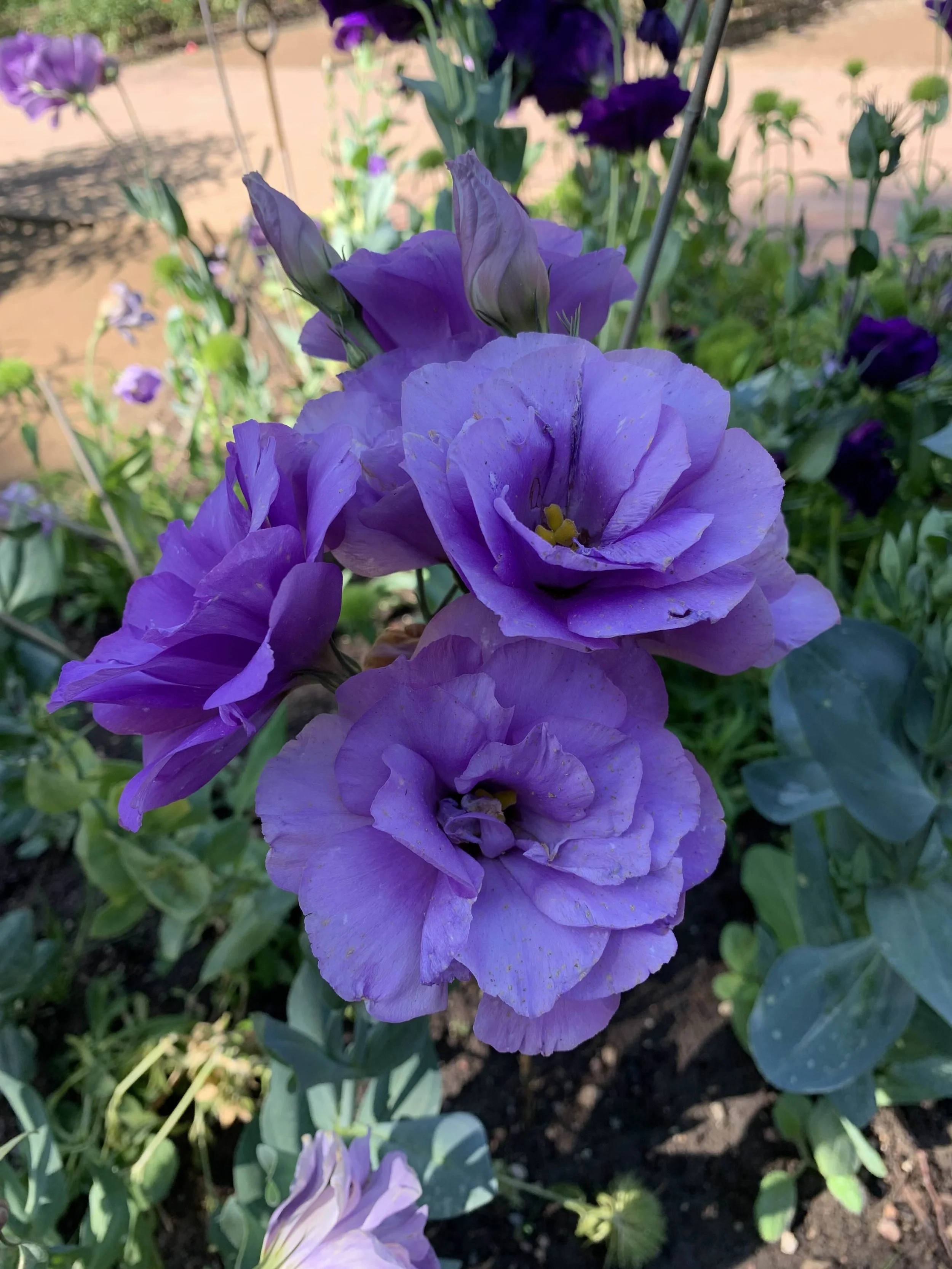 How ‘Come As You Are’ Helped Me Reclaim My Sex Life as a Busy Mom