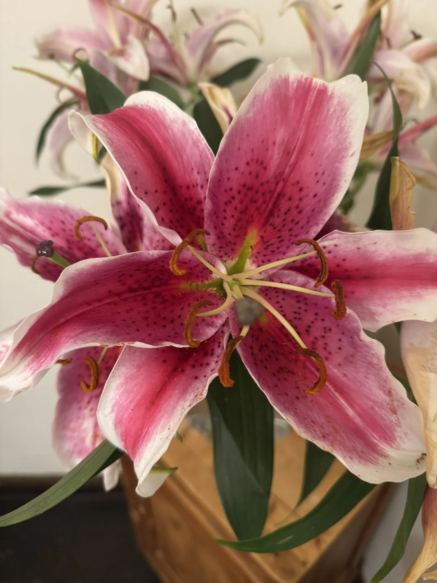 Marketing My Books Feels Hard — And I’m Trying Anyways