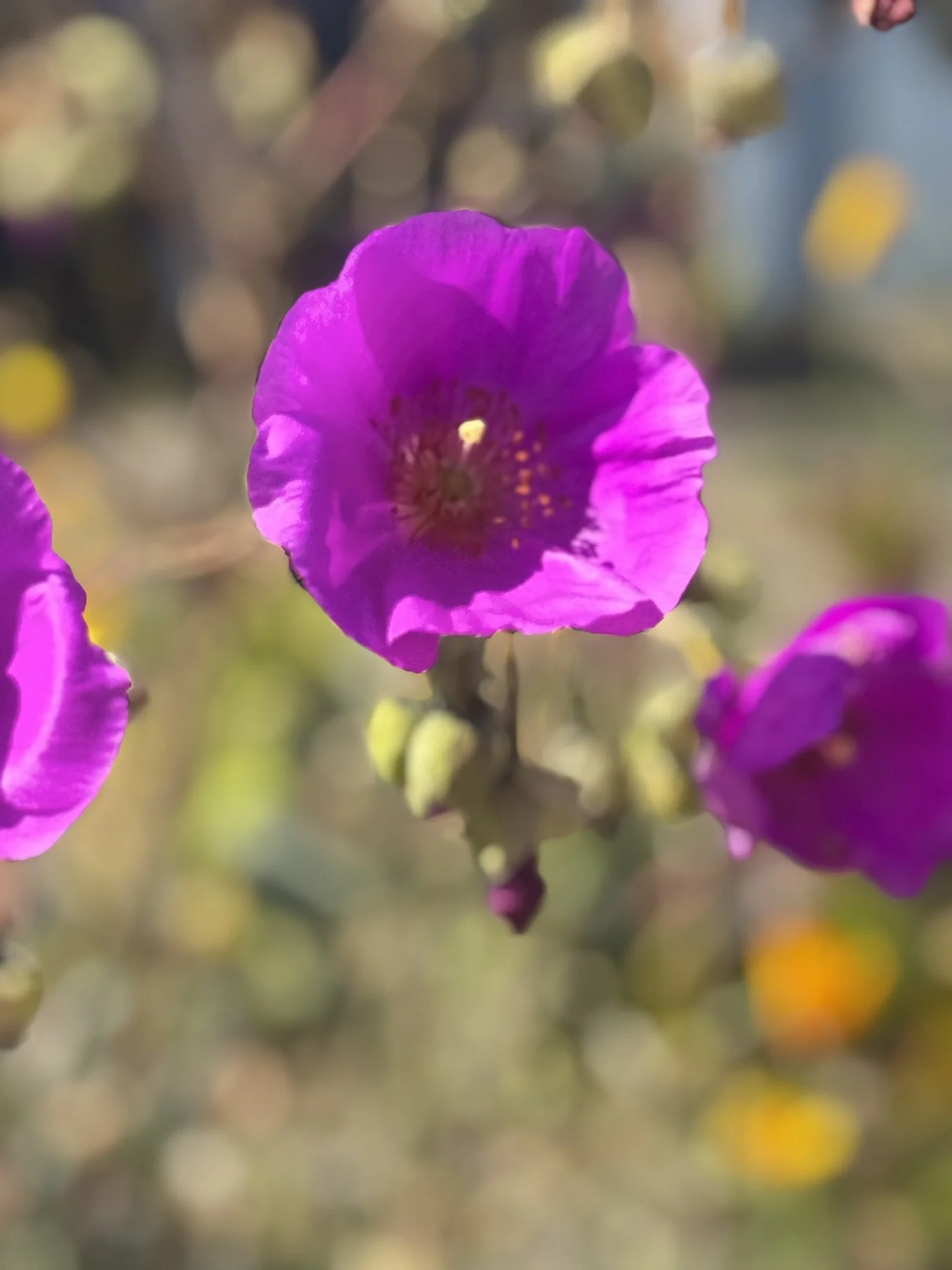 Why I Keep Writing, Even When Fear Shows Up