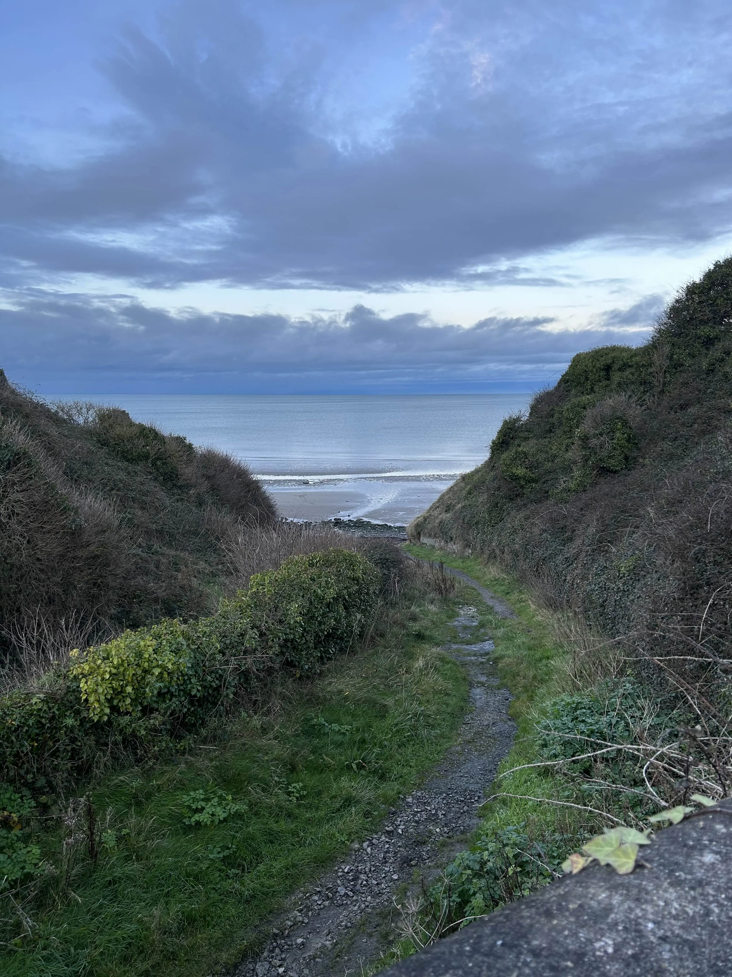 Suicide: The Other Pandemic