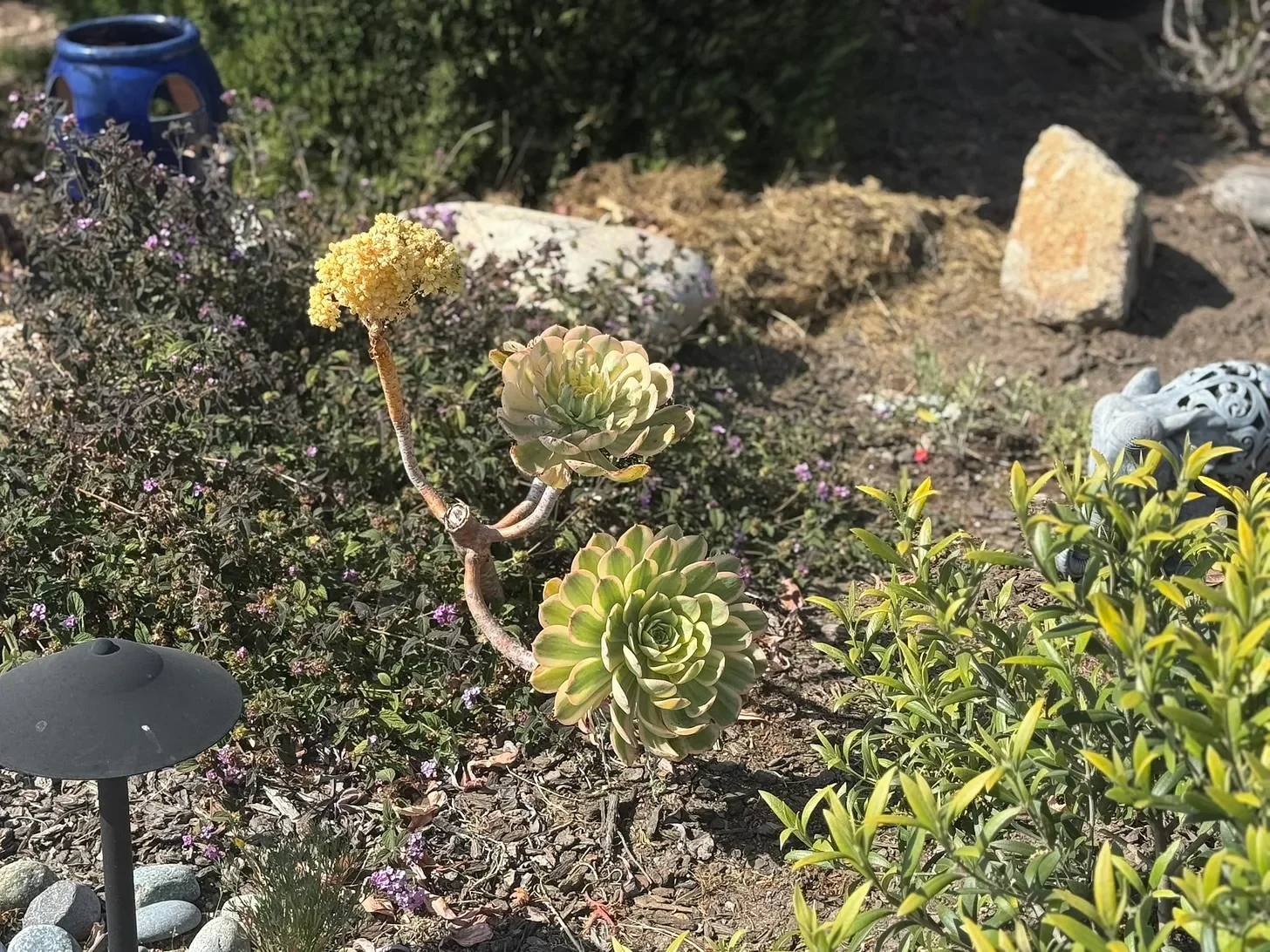 Writing to Stay Human