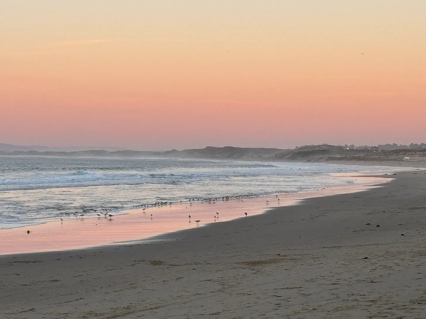 3 Weeks with No Social Media