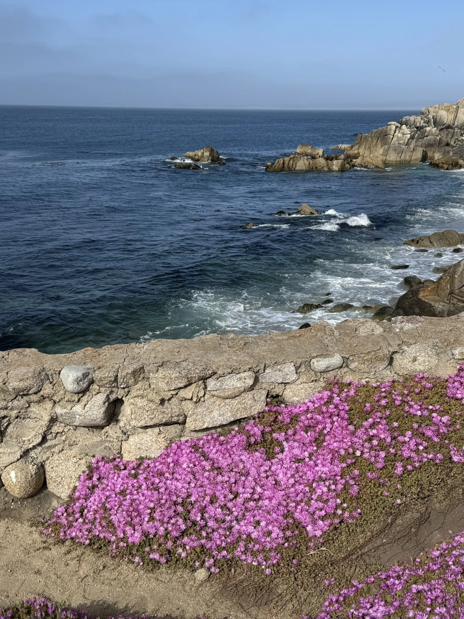 What is the point of living life?