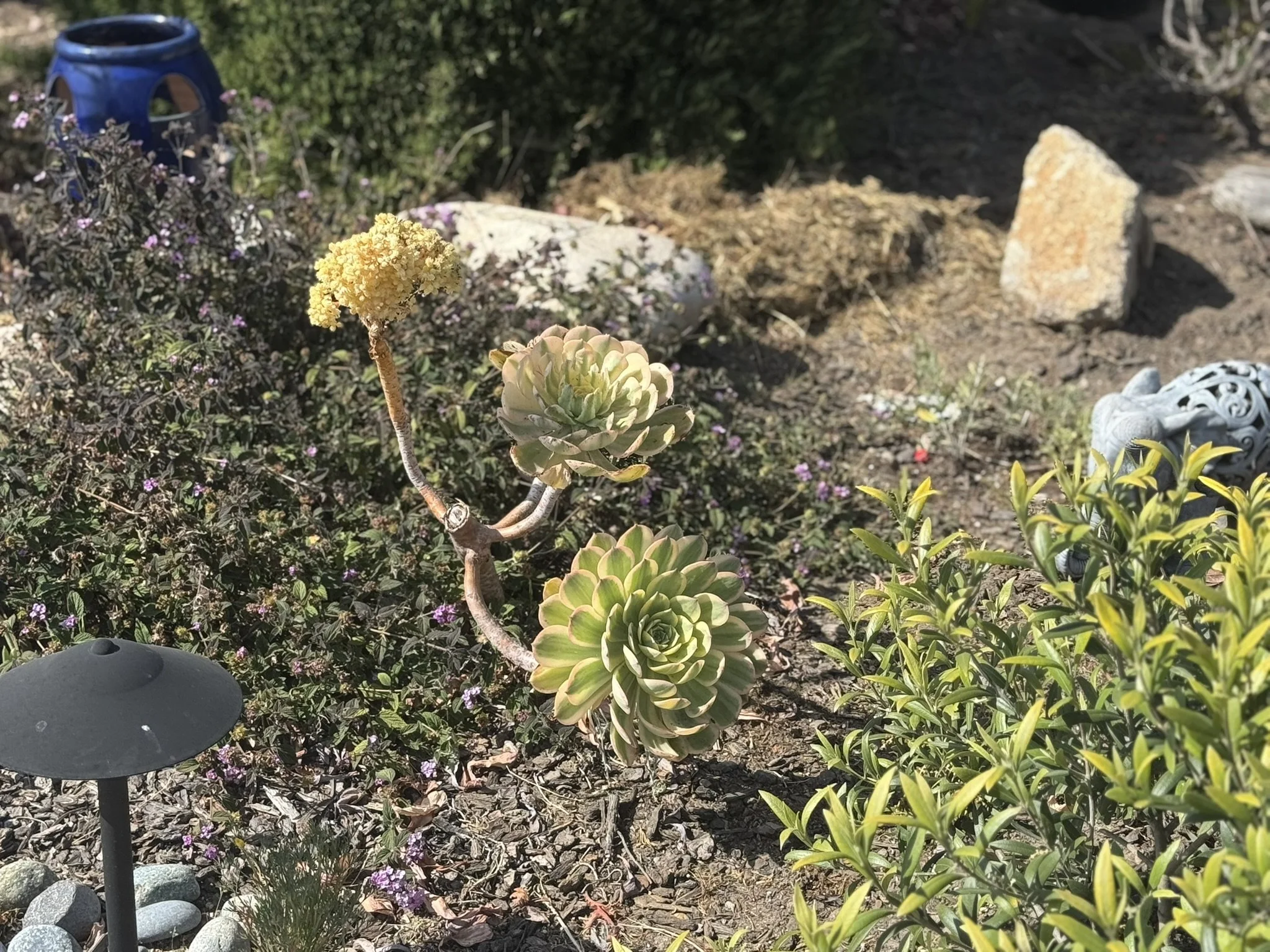 Doing Less Together: An Accountability Group